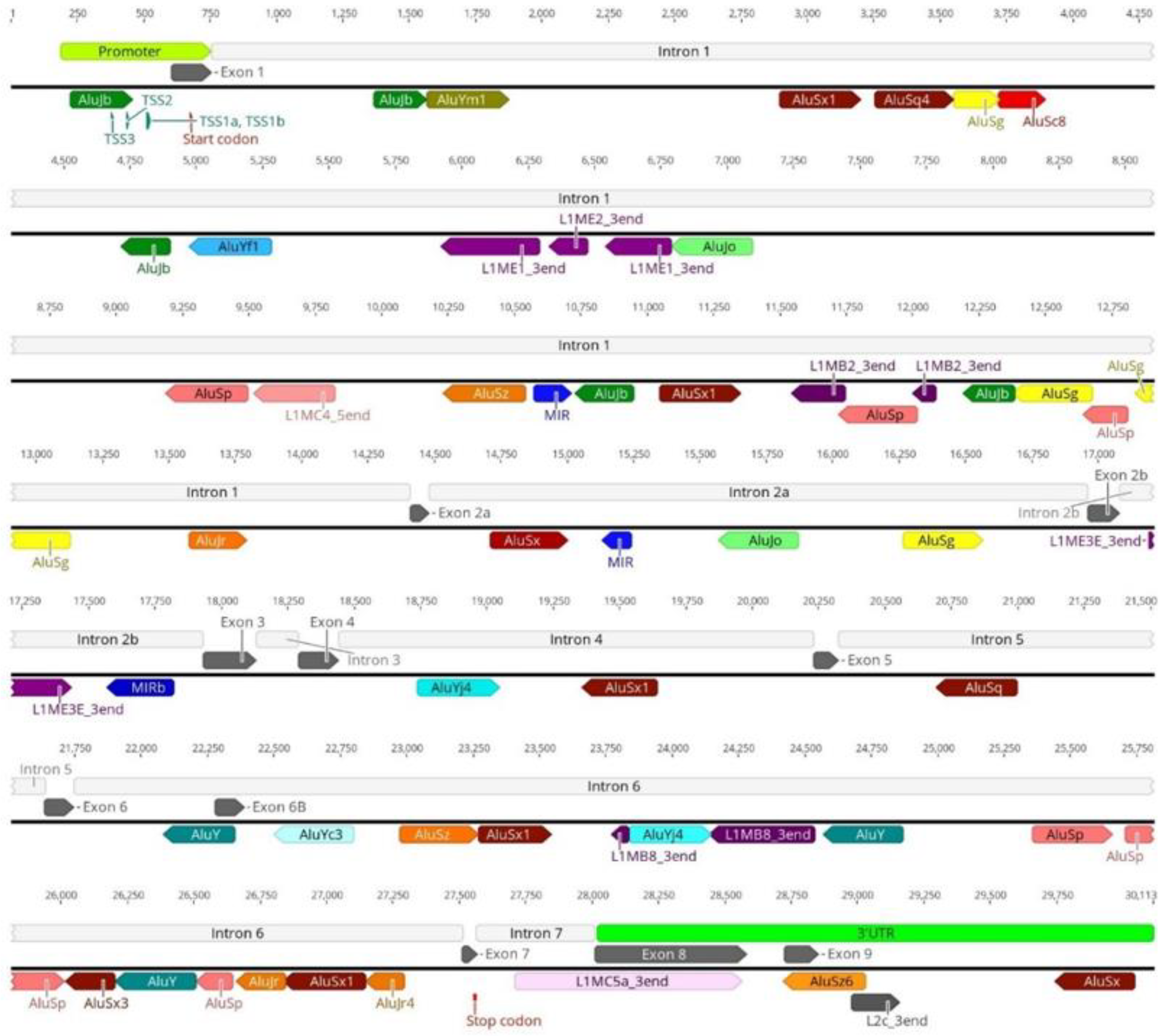Biology 11 00824 g006 Biology 11 00824 g006