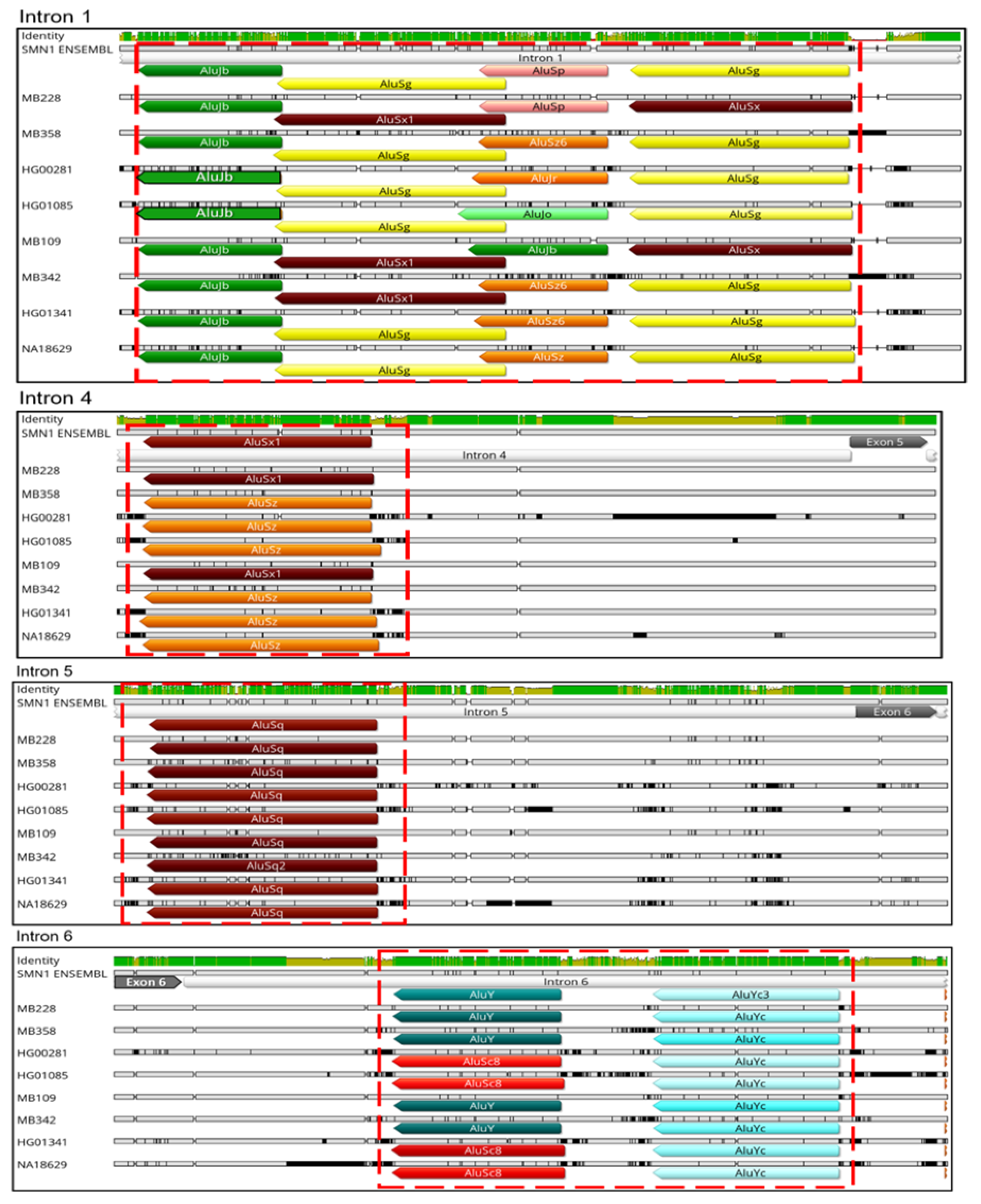 Biology 11 00824 g007 Biology 11 00824 g007