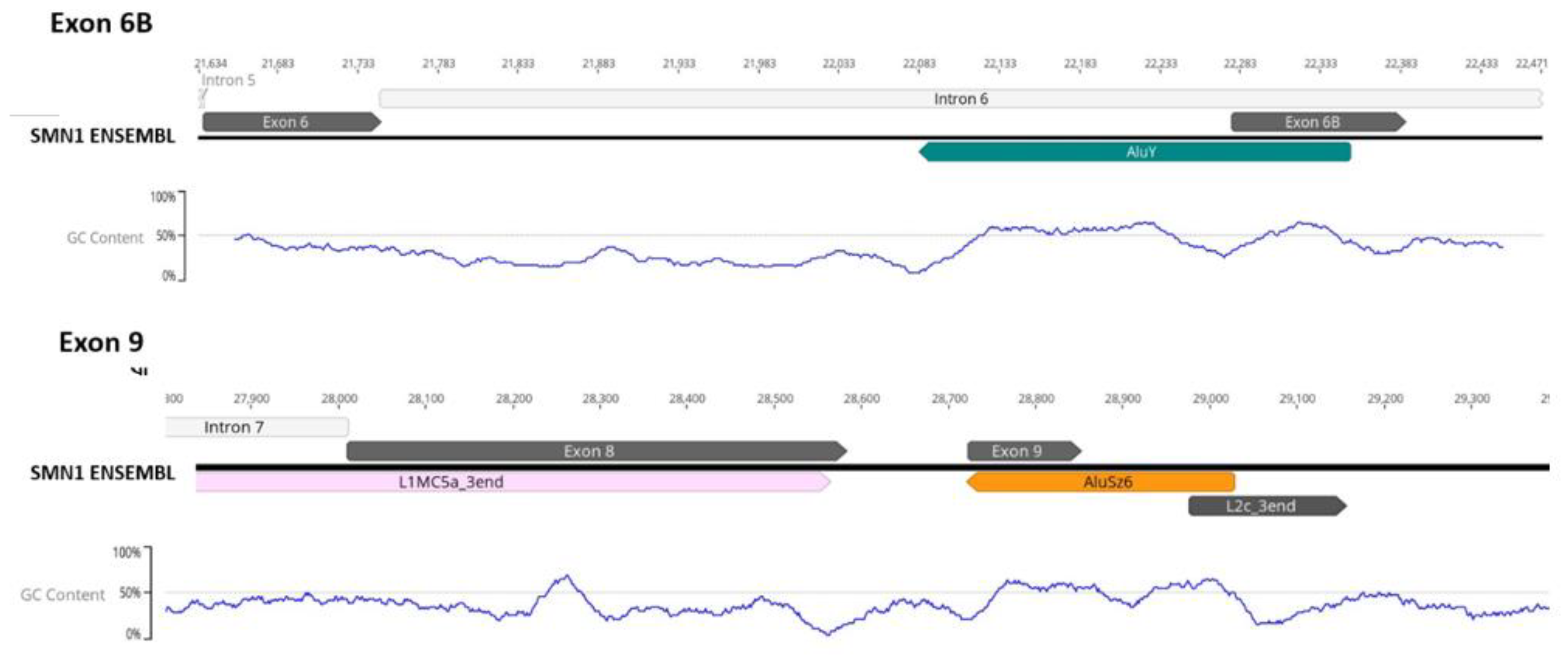 Biology 11 00824 g008 Biology 11 00824 g008