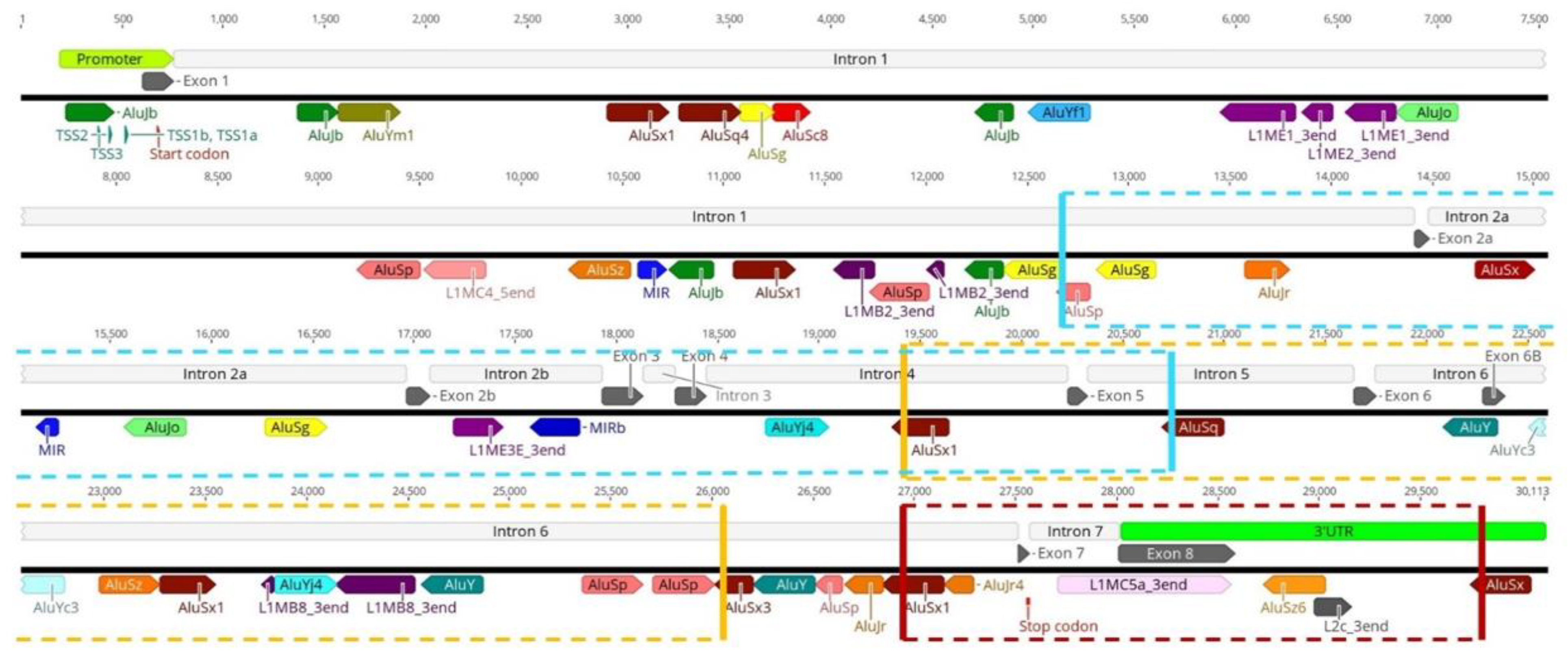 Biology 11 00824 g011 Biology 11 00824 g011