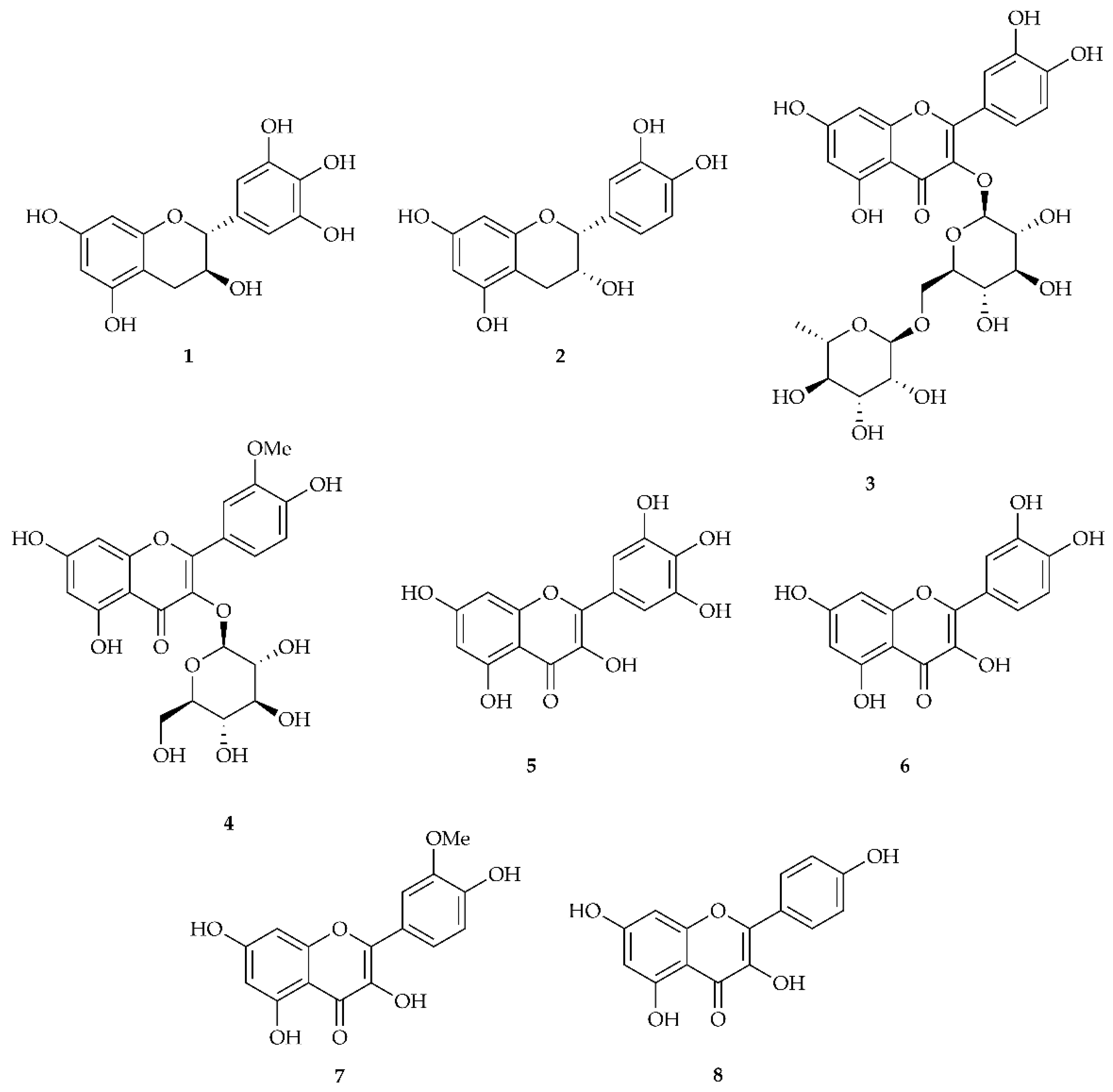 Biology 11 00825 g001