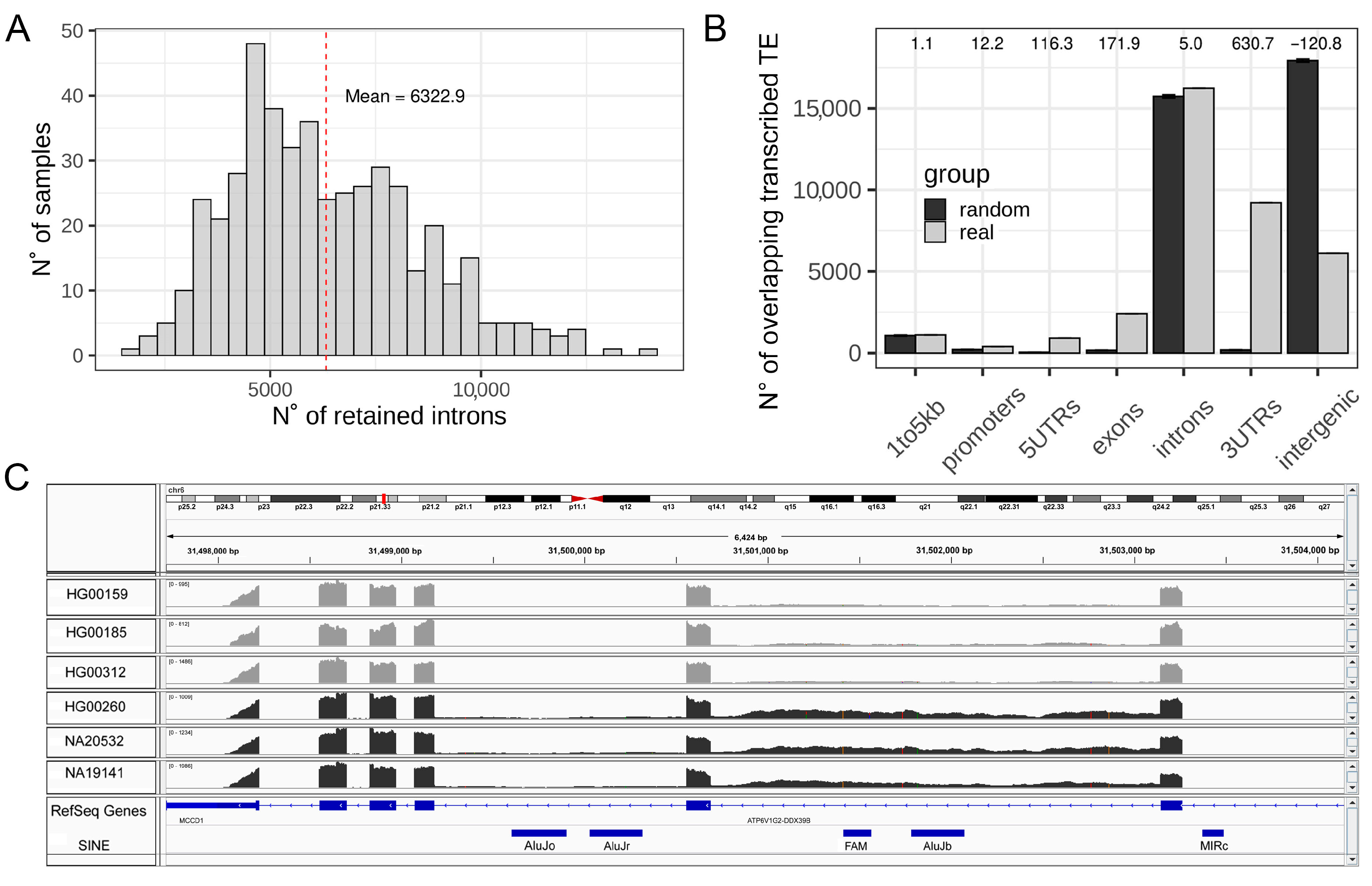Biology 11 00826 g001