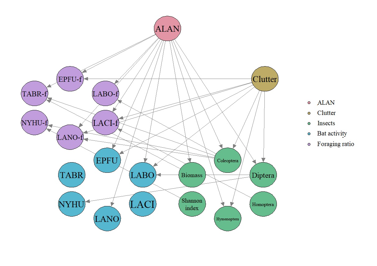 Biology Free FullText PredatorPrey Relationship between Urban