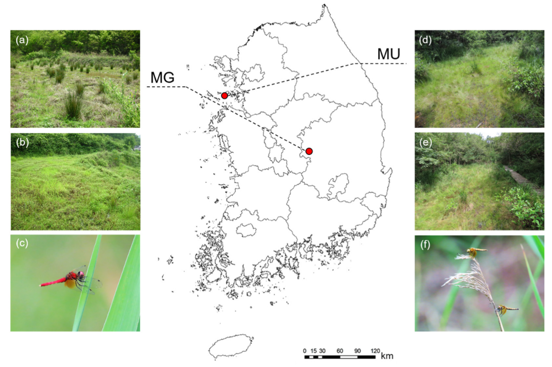 Biology 11 00830 g001 550