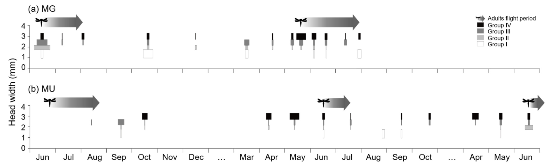 Biology 11 00830 g007 550