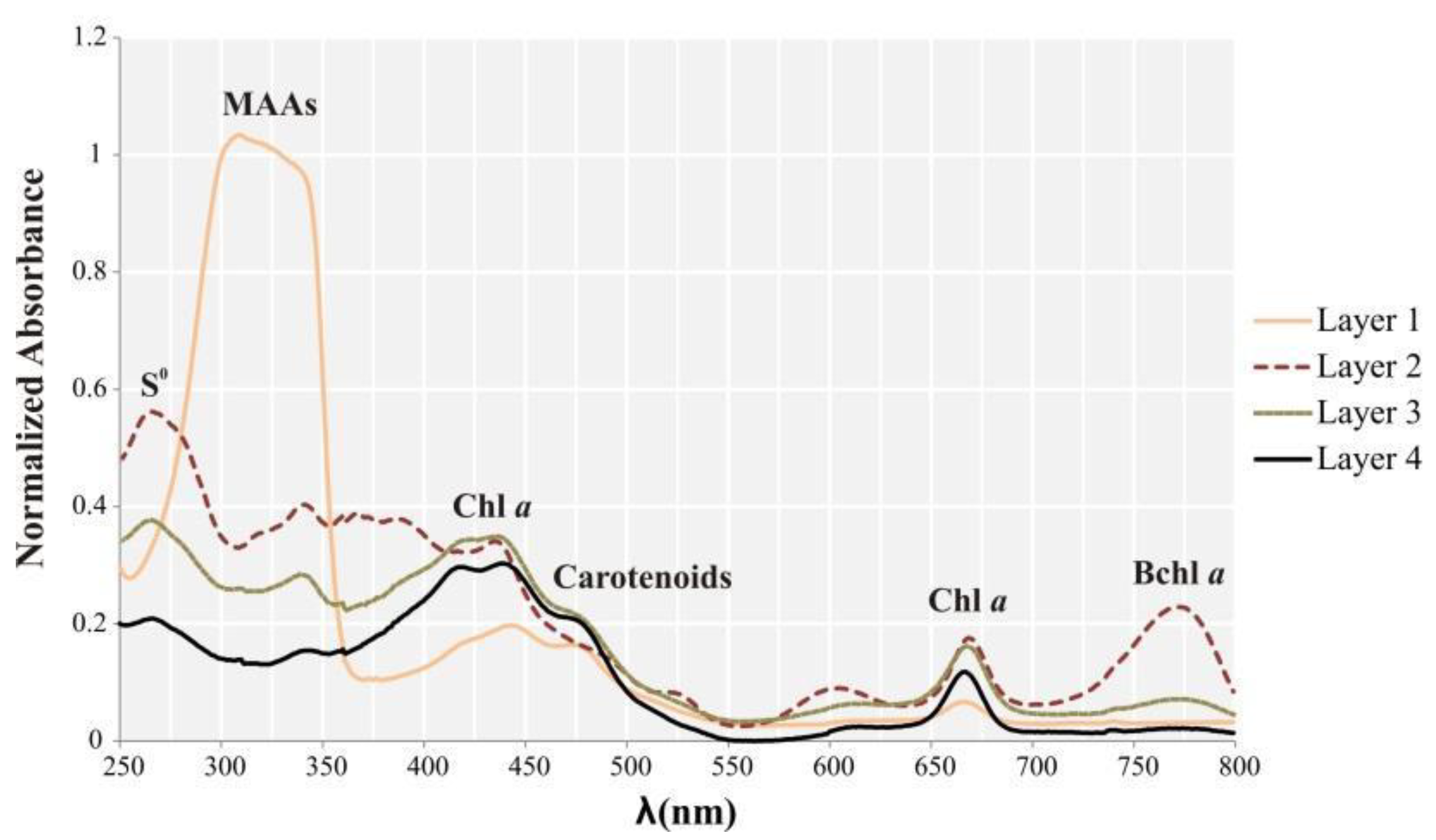 Biology 11 00831 g007