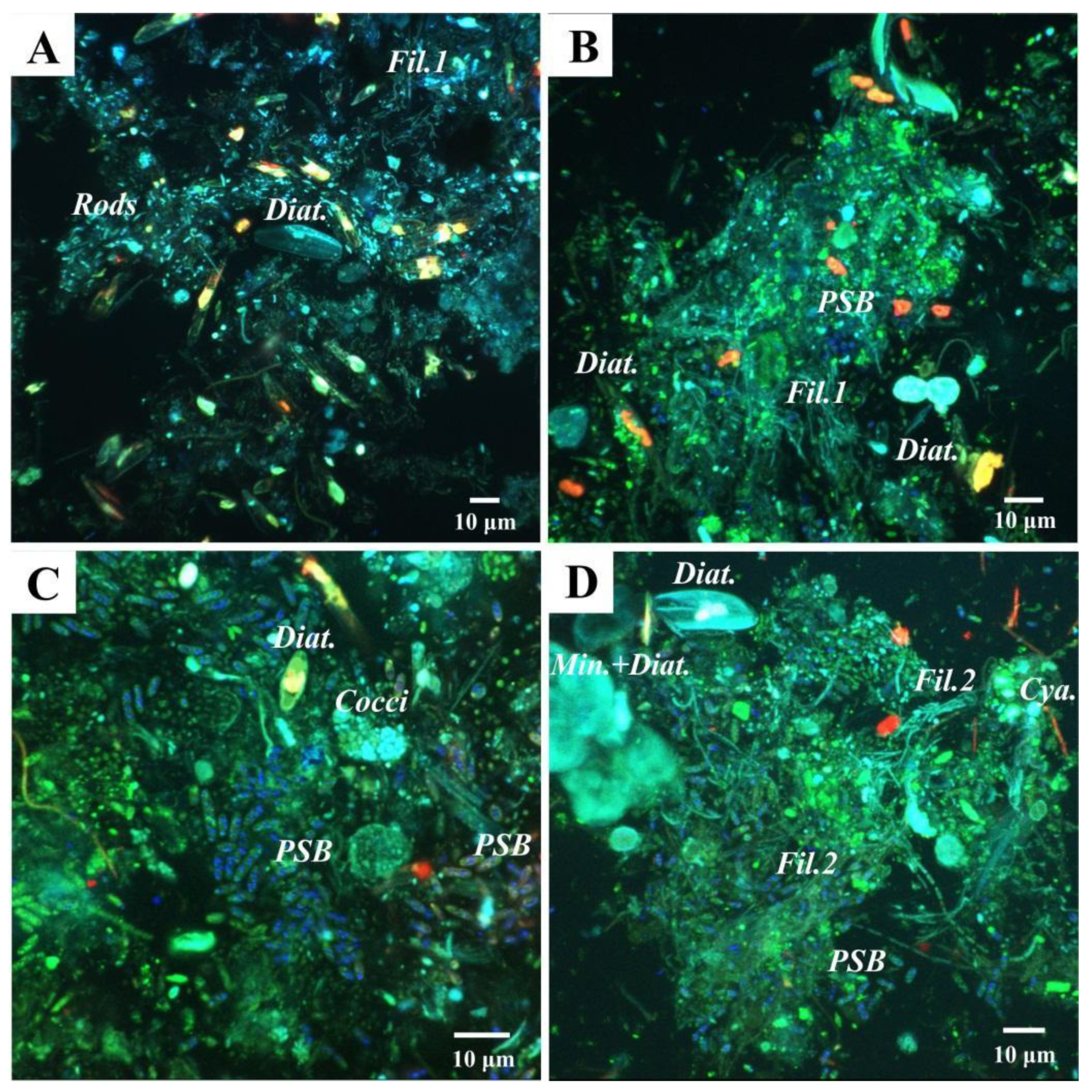 Biology 11 00831 g009