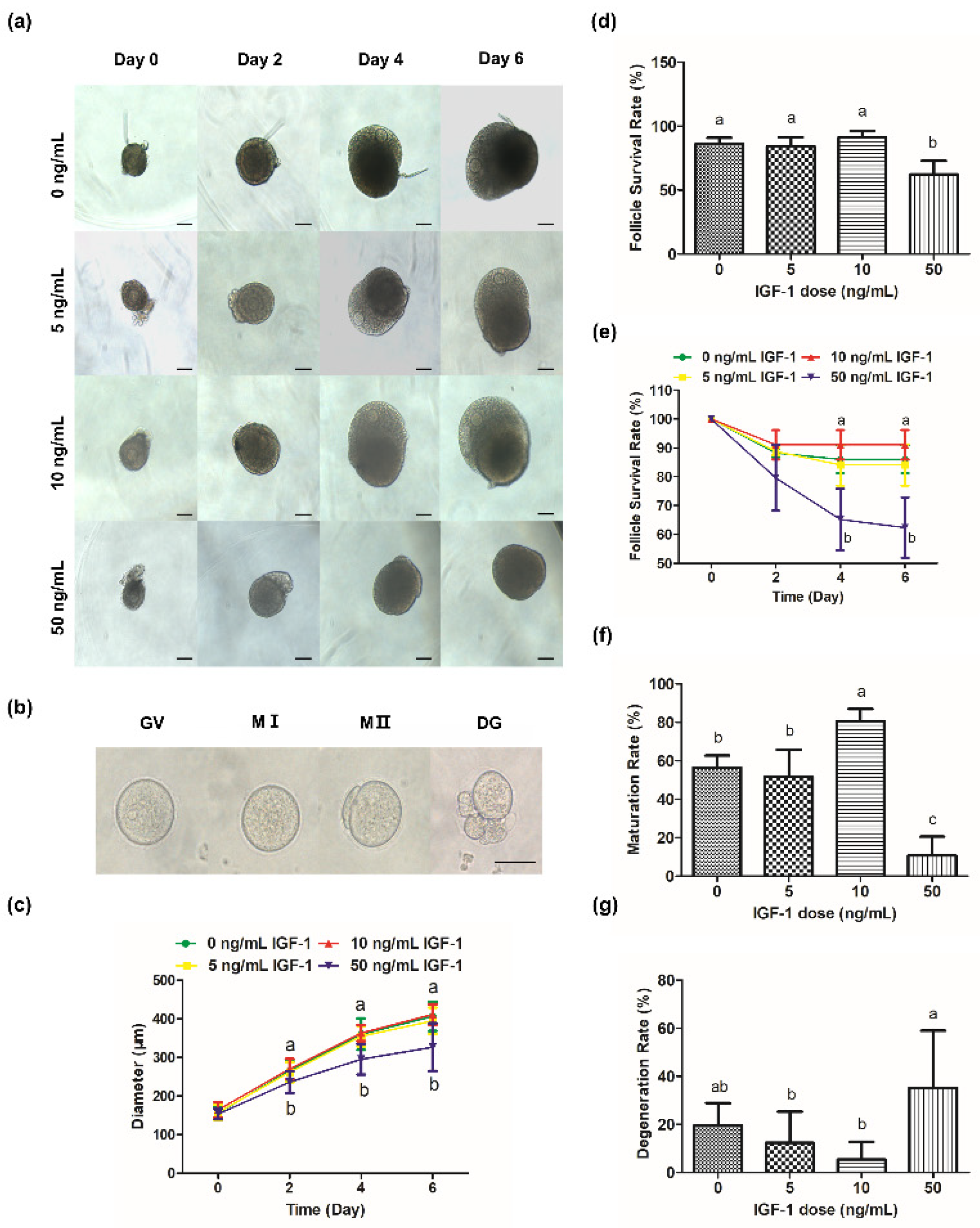 Biology 11 00833 g002 Biology 11 00833 g002