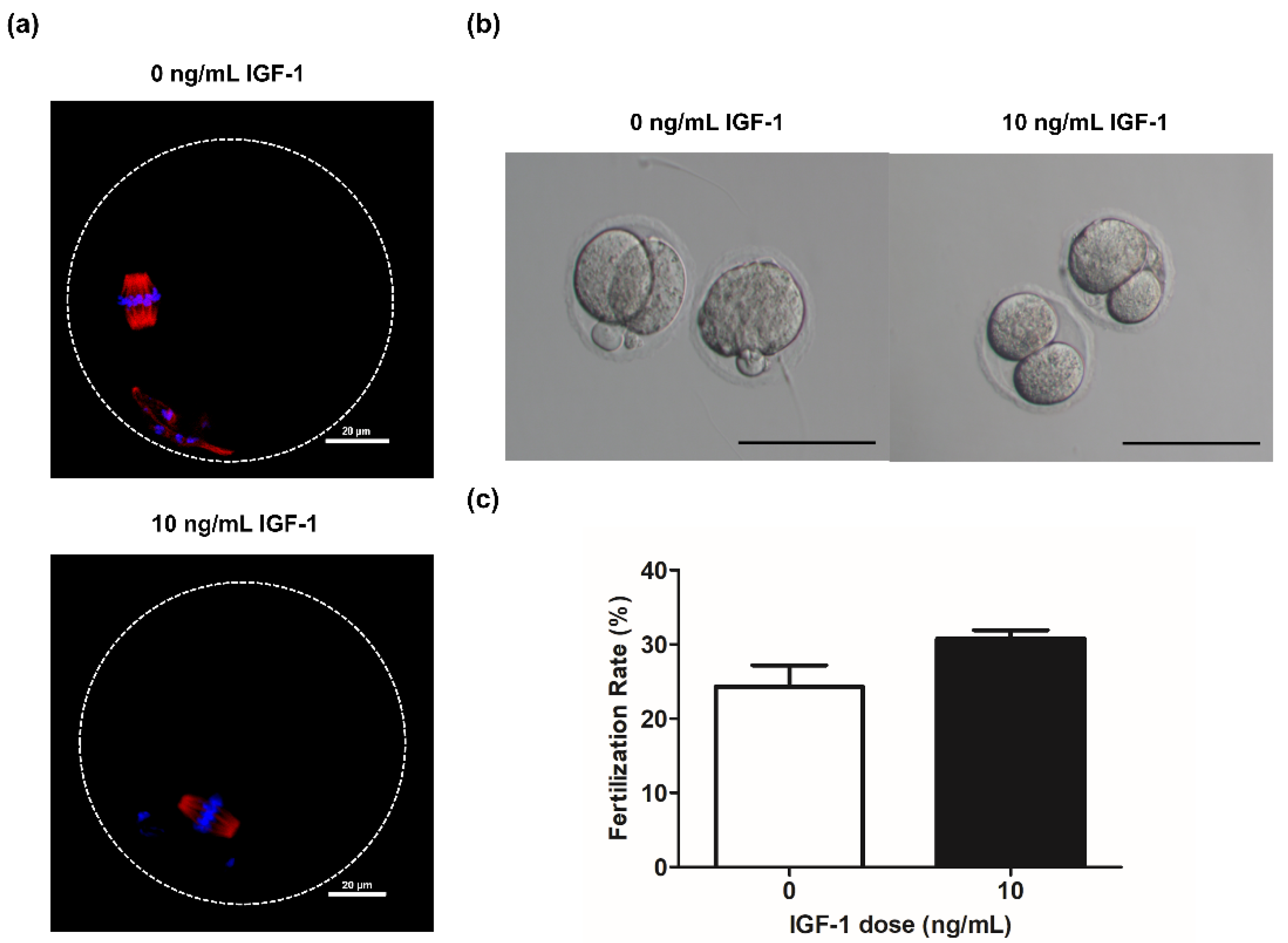 Biology 11 00833 g006 Biology 11 00833 g006