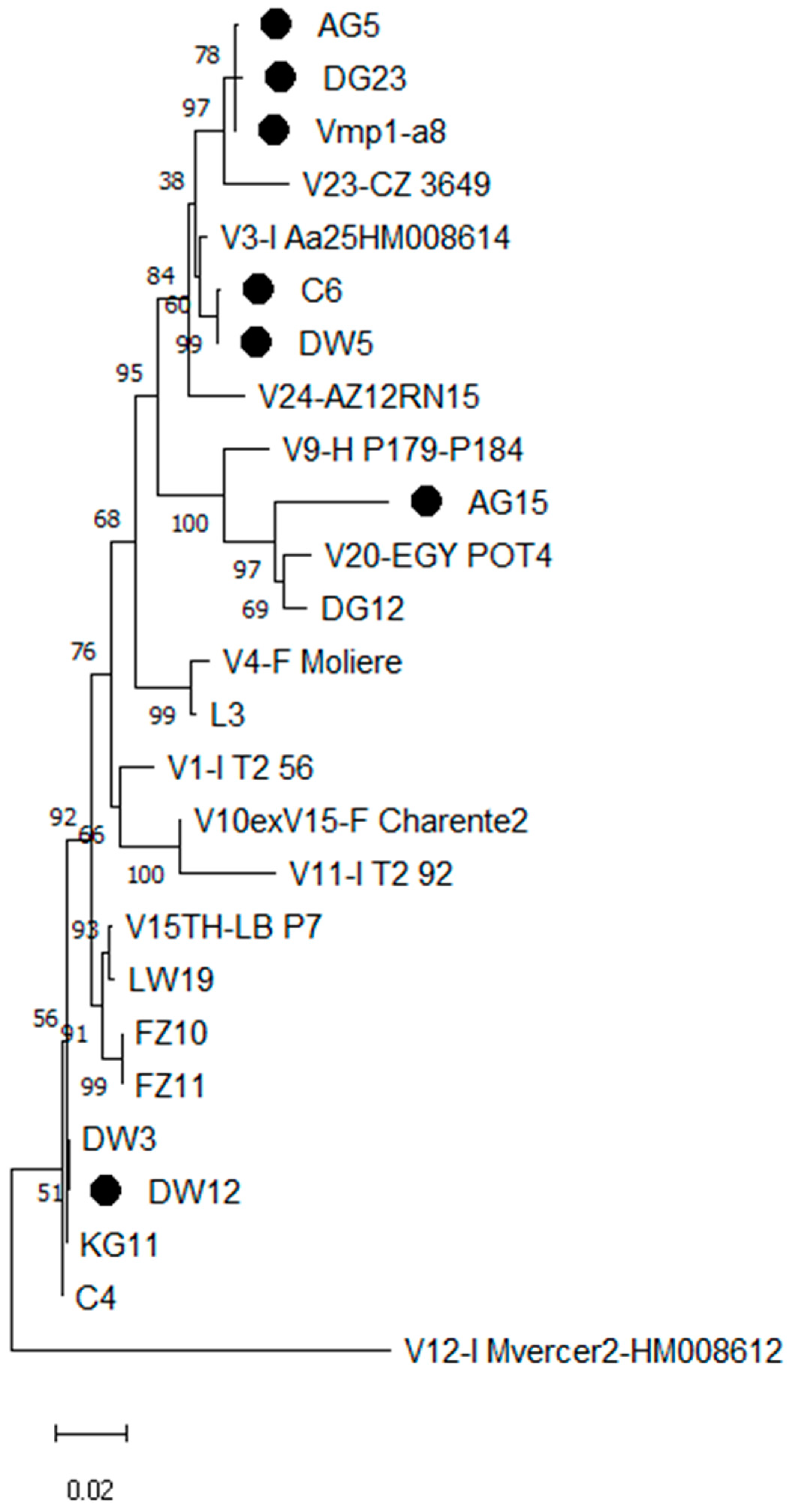 Biology 11 00835 g001