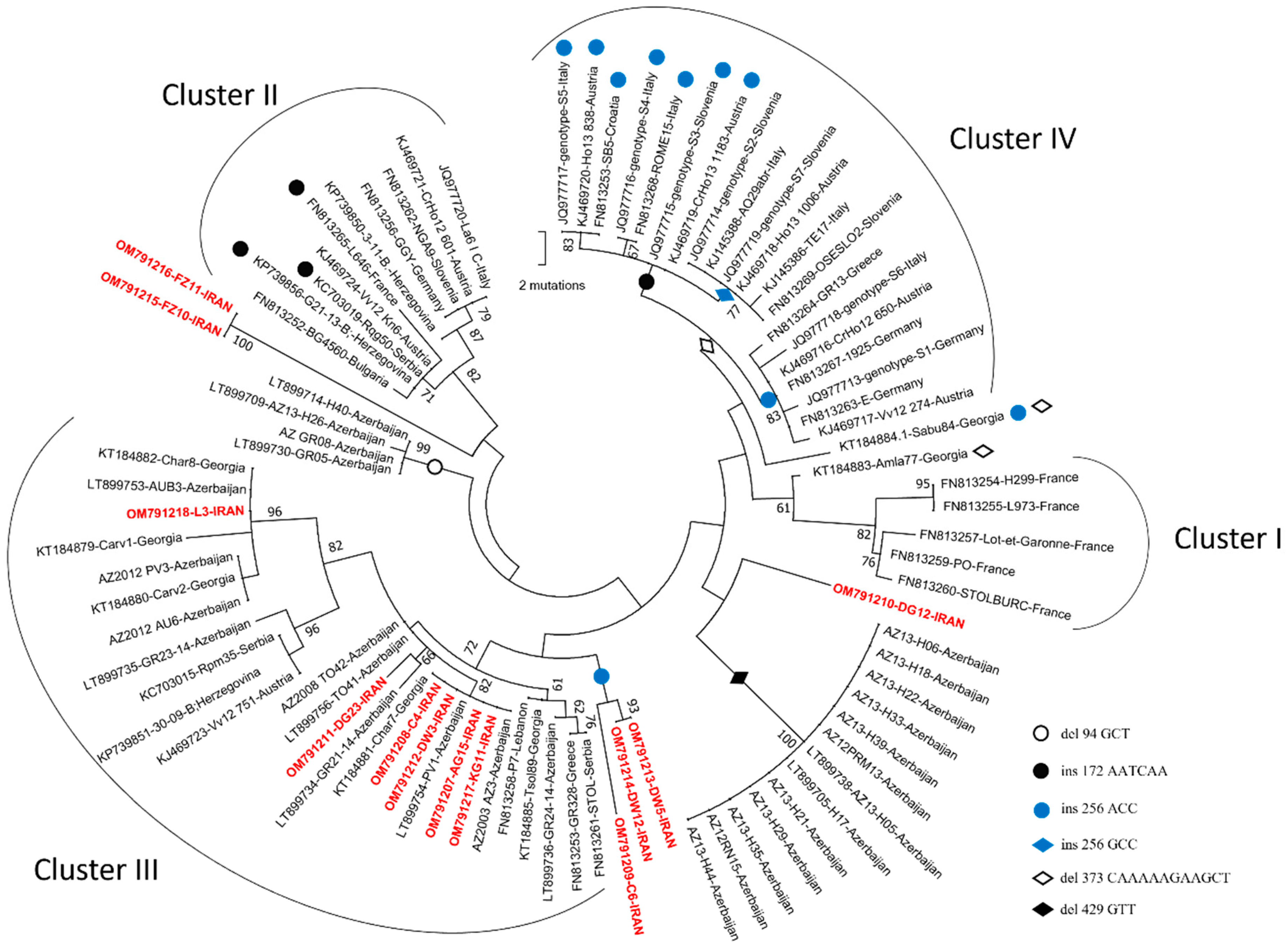 Biology 11 00835 g002