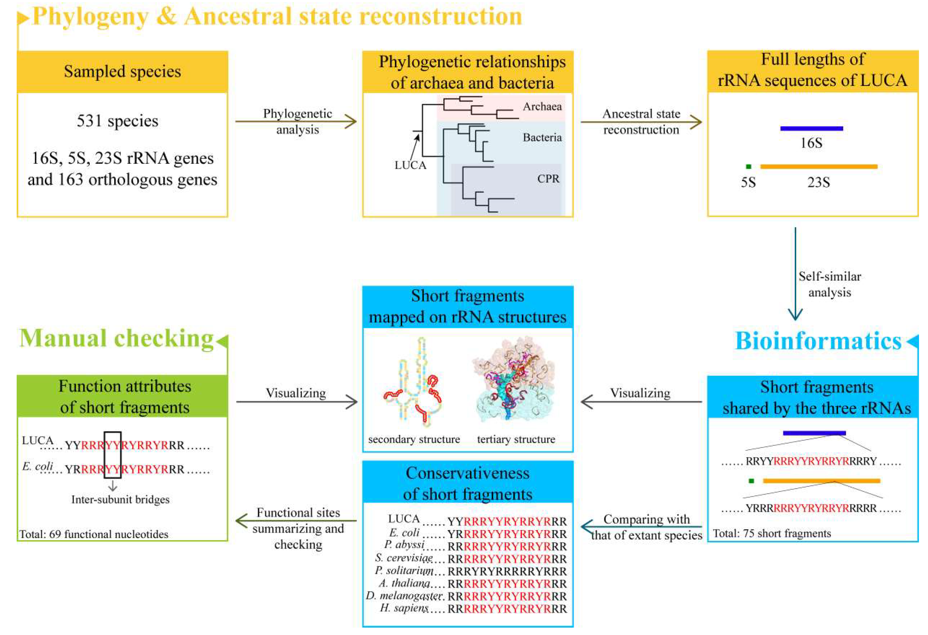 Biology 11 00837 g001