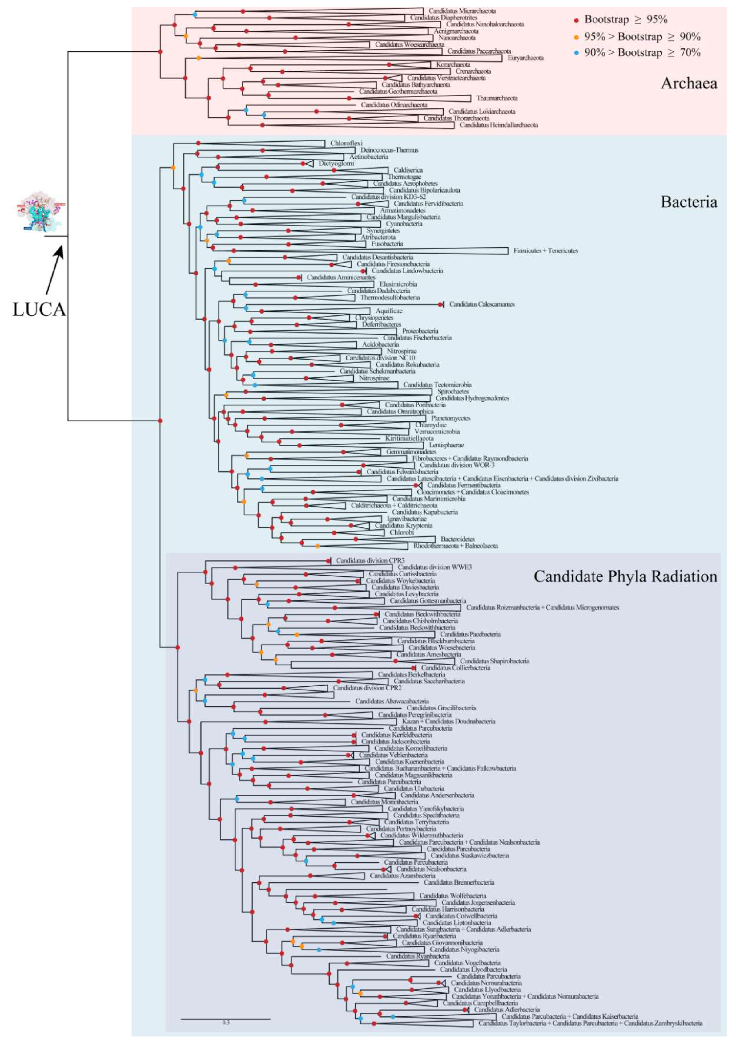 Biology 11 00837 g002
