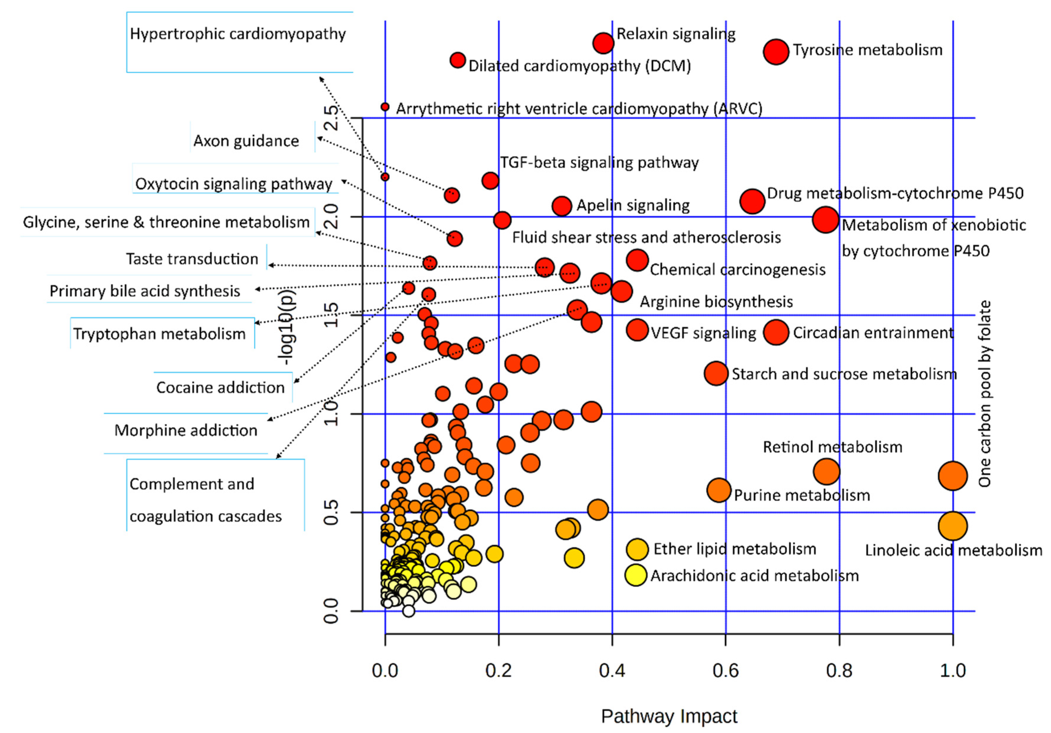 Biology 11 00839 g002