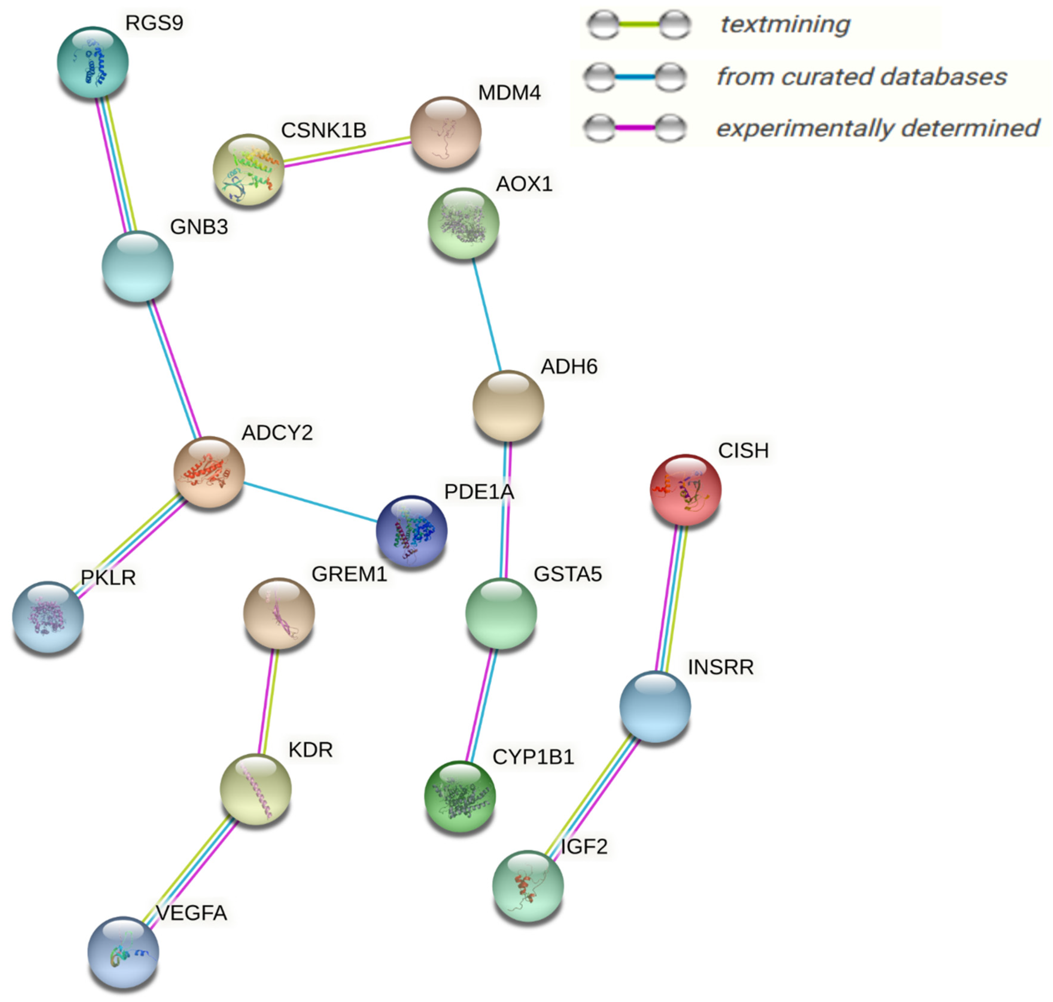 Biology 11 00839 g010