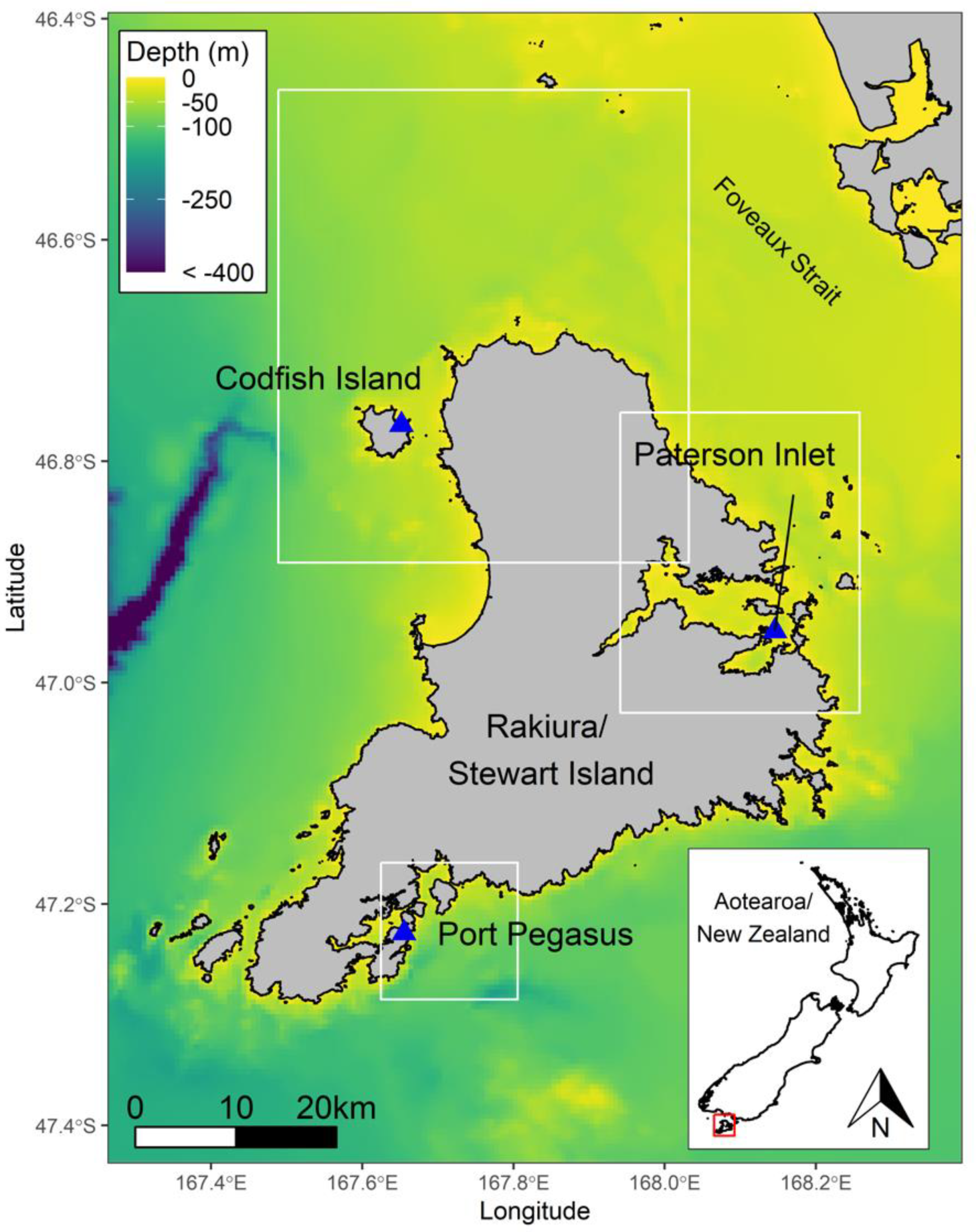 Biology 11 00844 g001