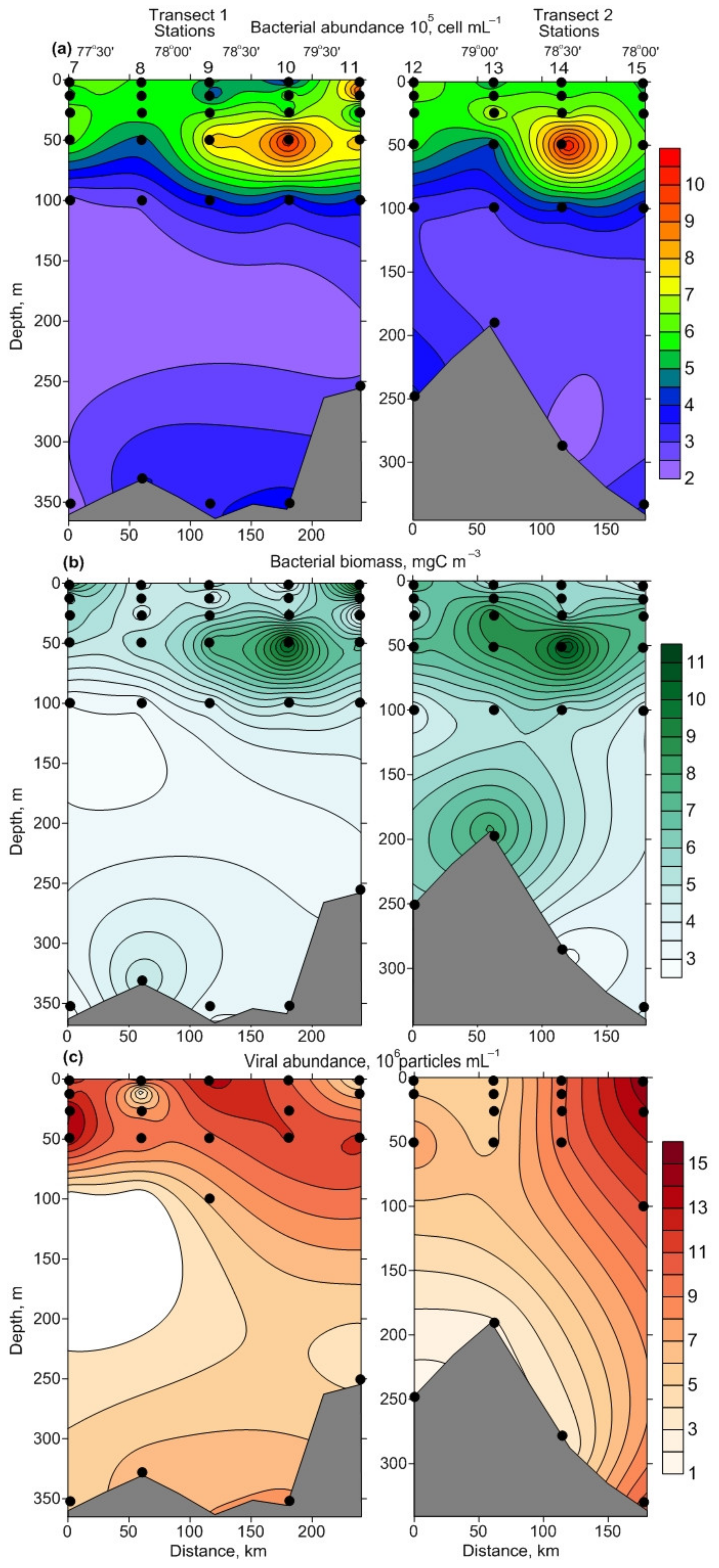 Biology 11 00845 g004 Biology 11 00845 g004