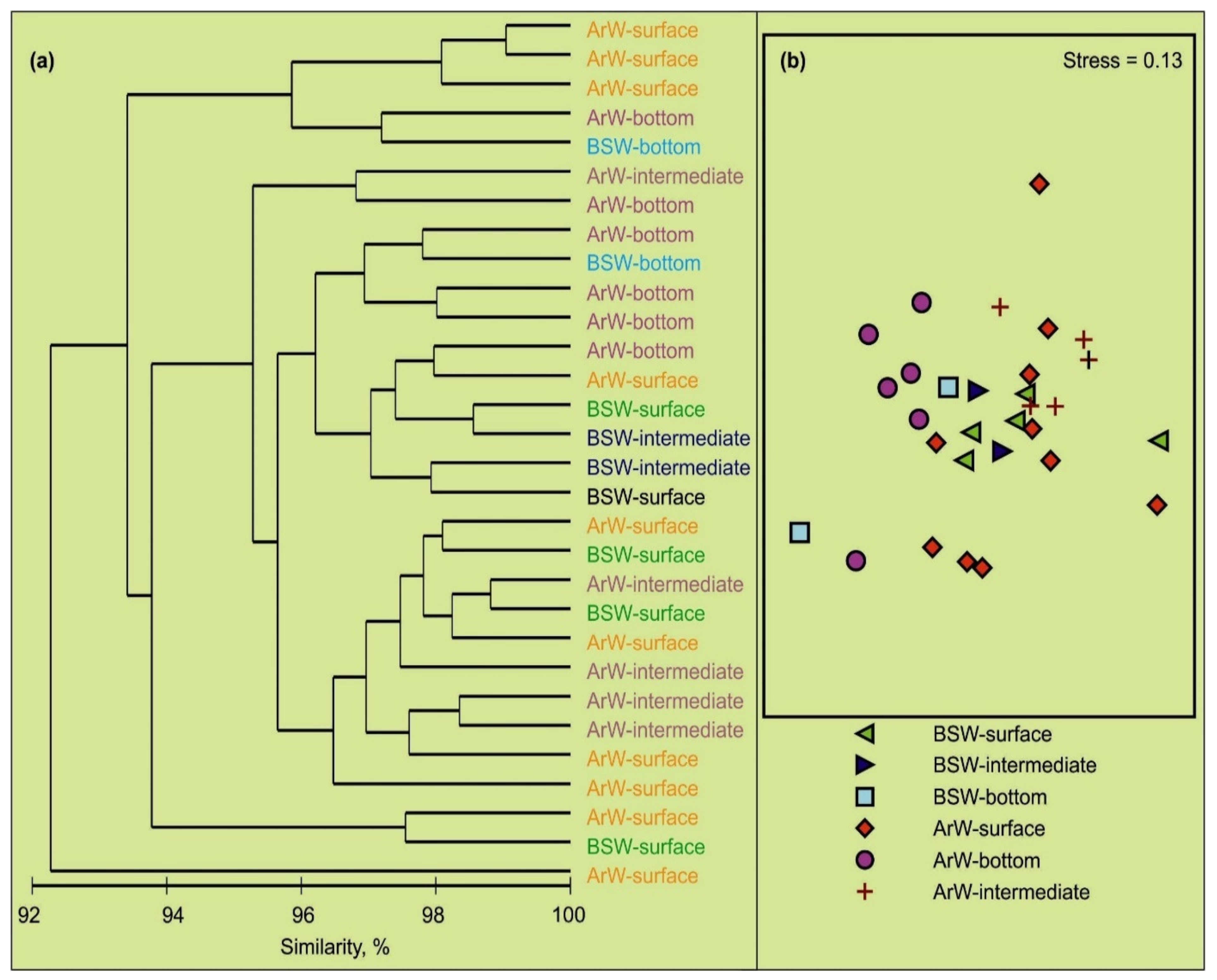 Biology 11 00845 g006 Biology 11 00845 g006