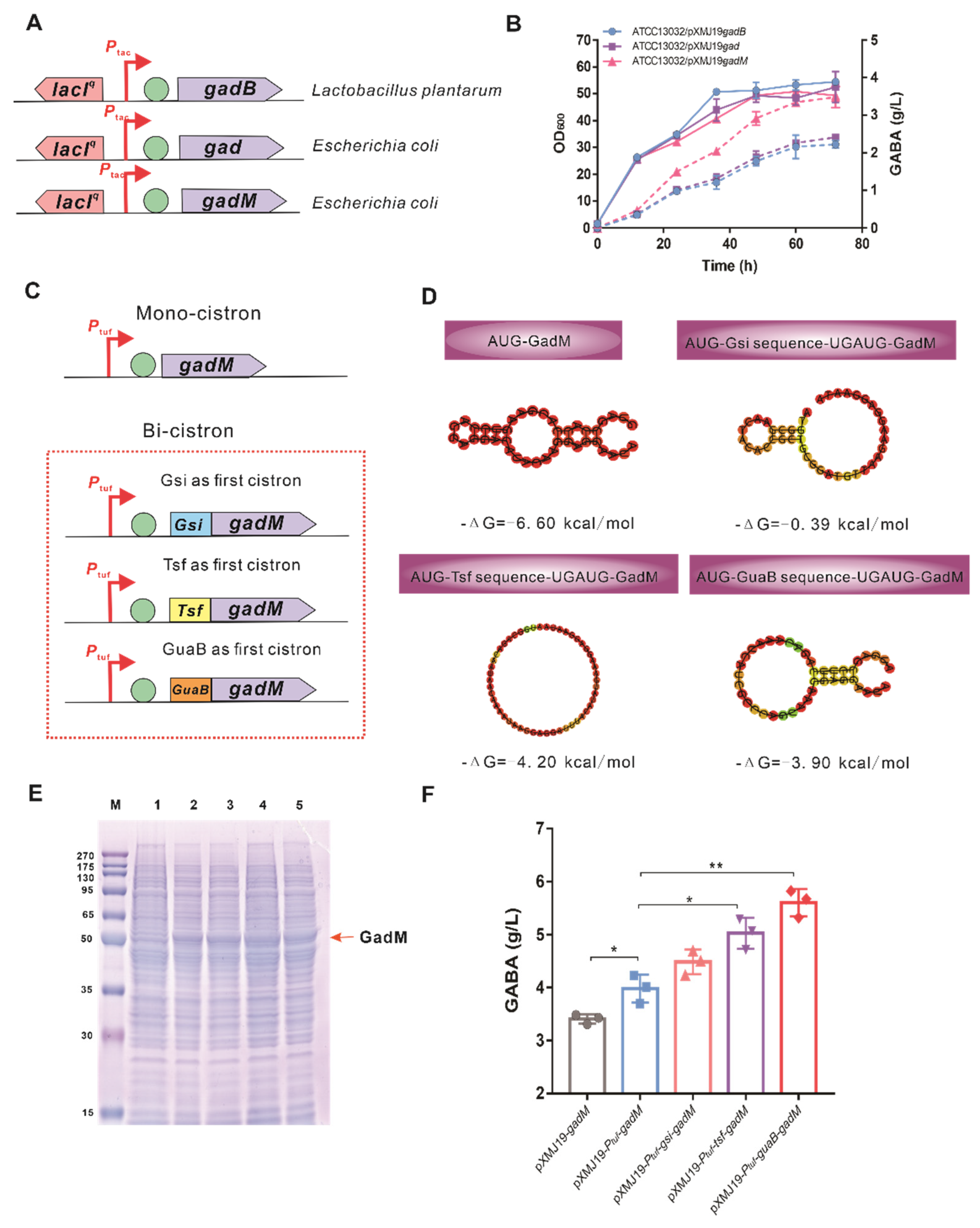 Biology 11 00846 g002