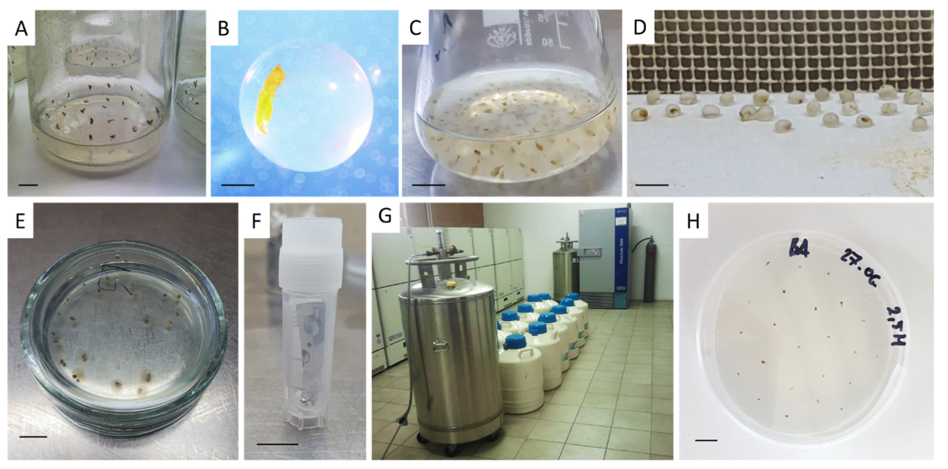 Biology 11 00847 g002