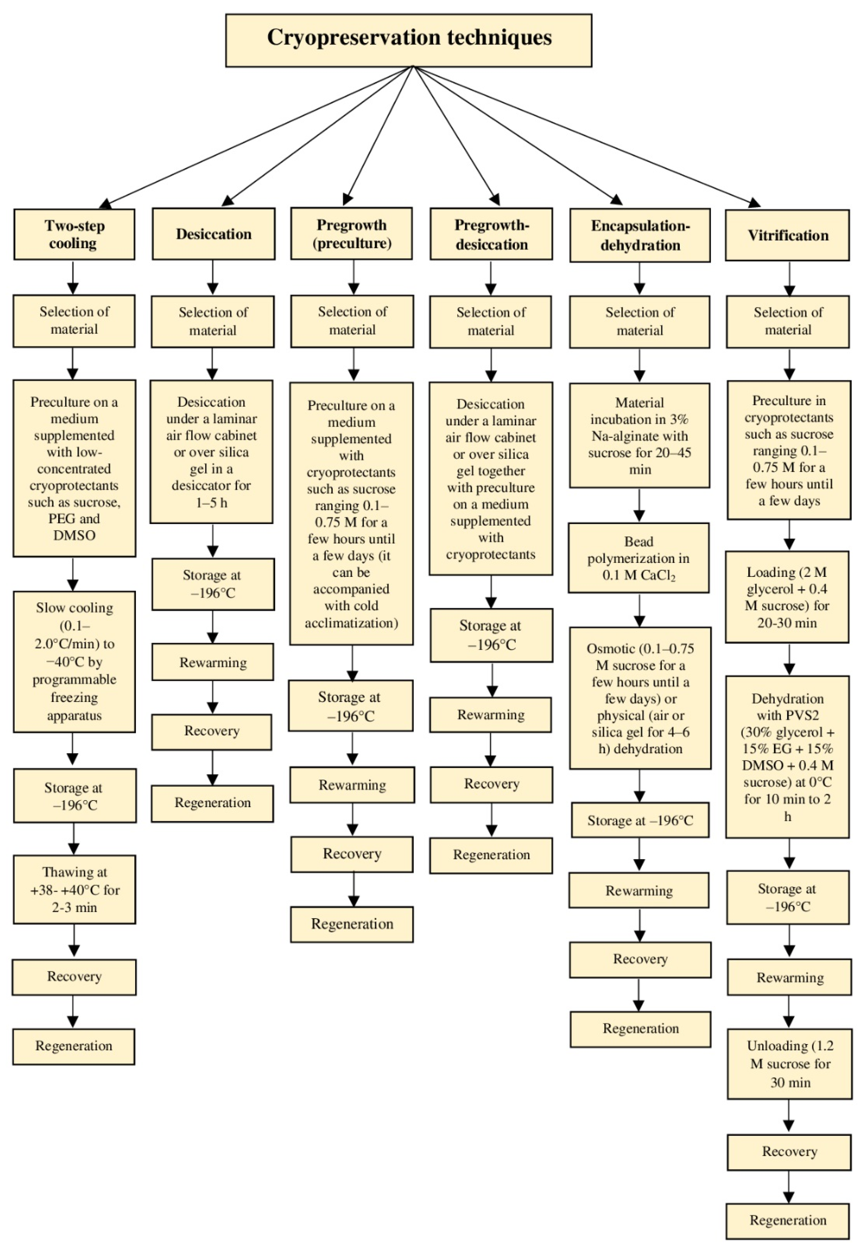 Biology 11 00847 g003a