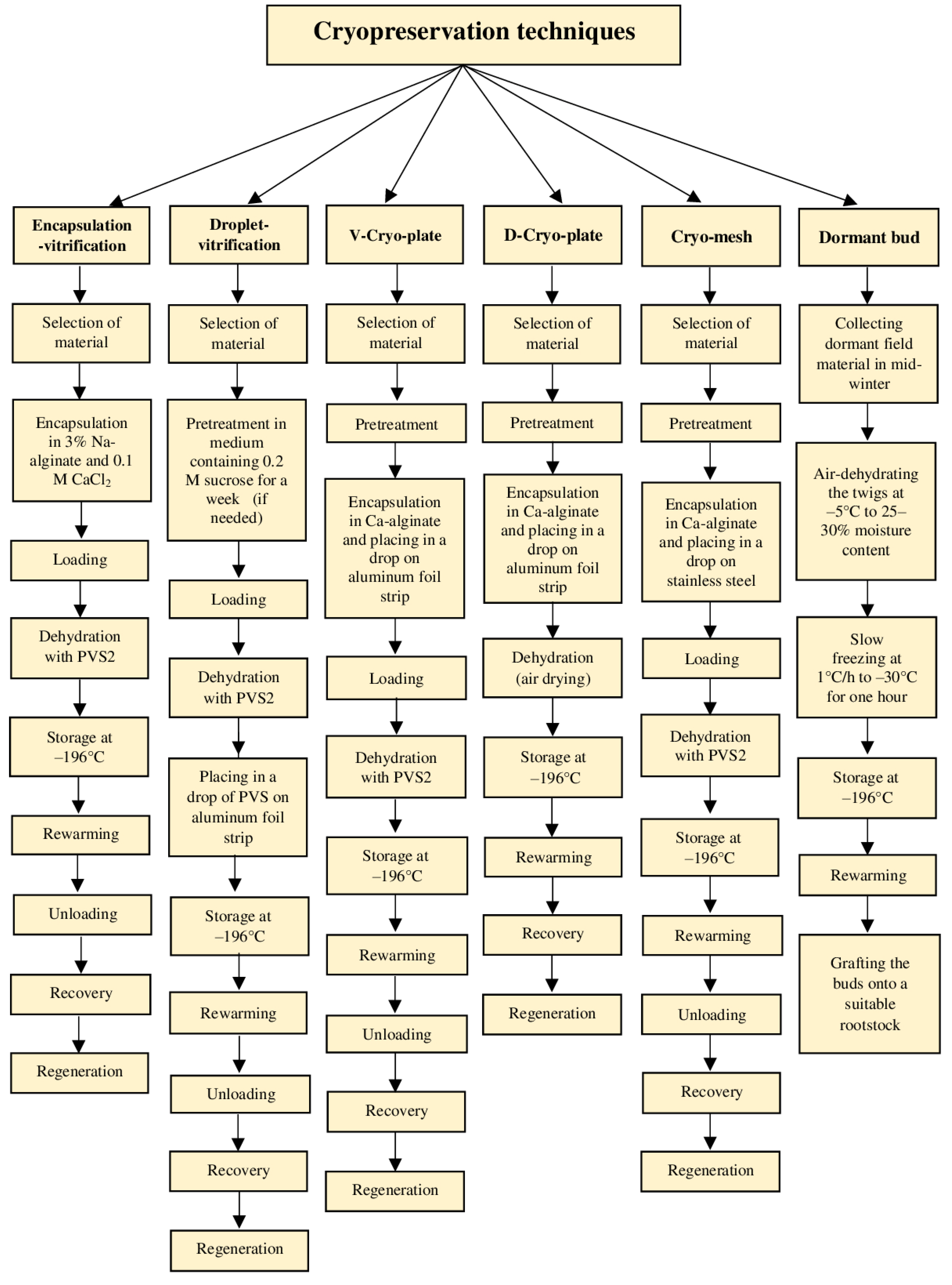 Biology 11 00847 g003b