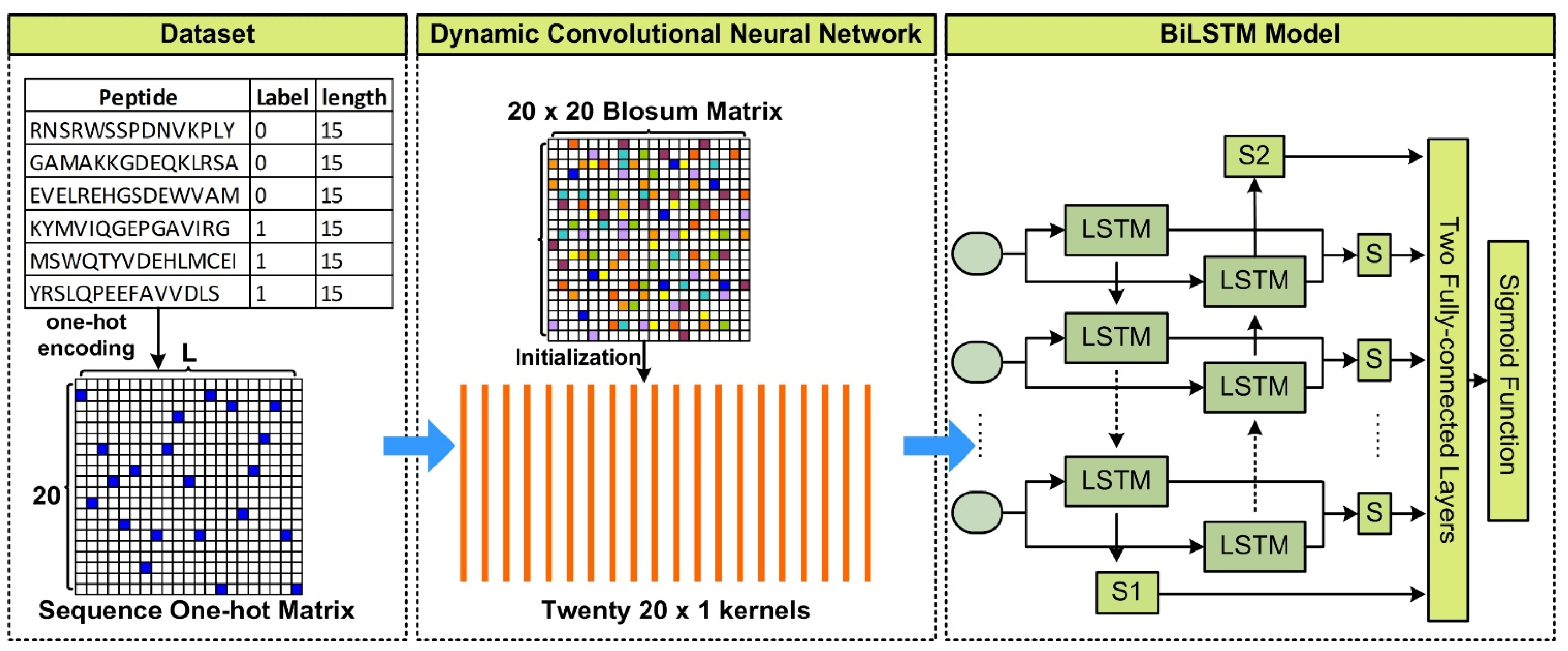 Biology 11 00848 g001 550
