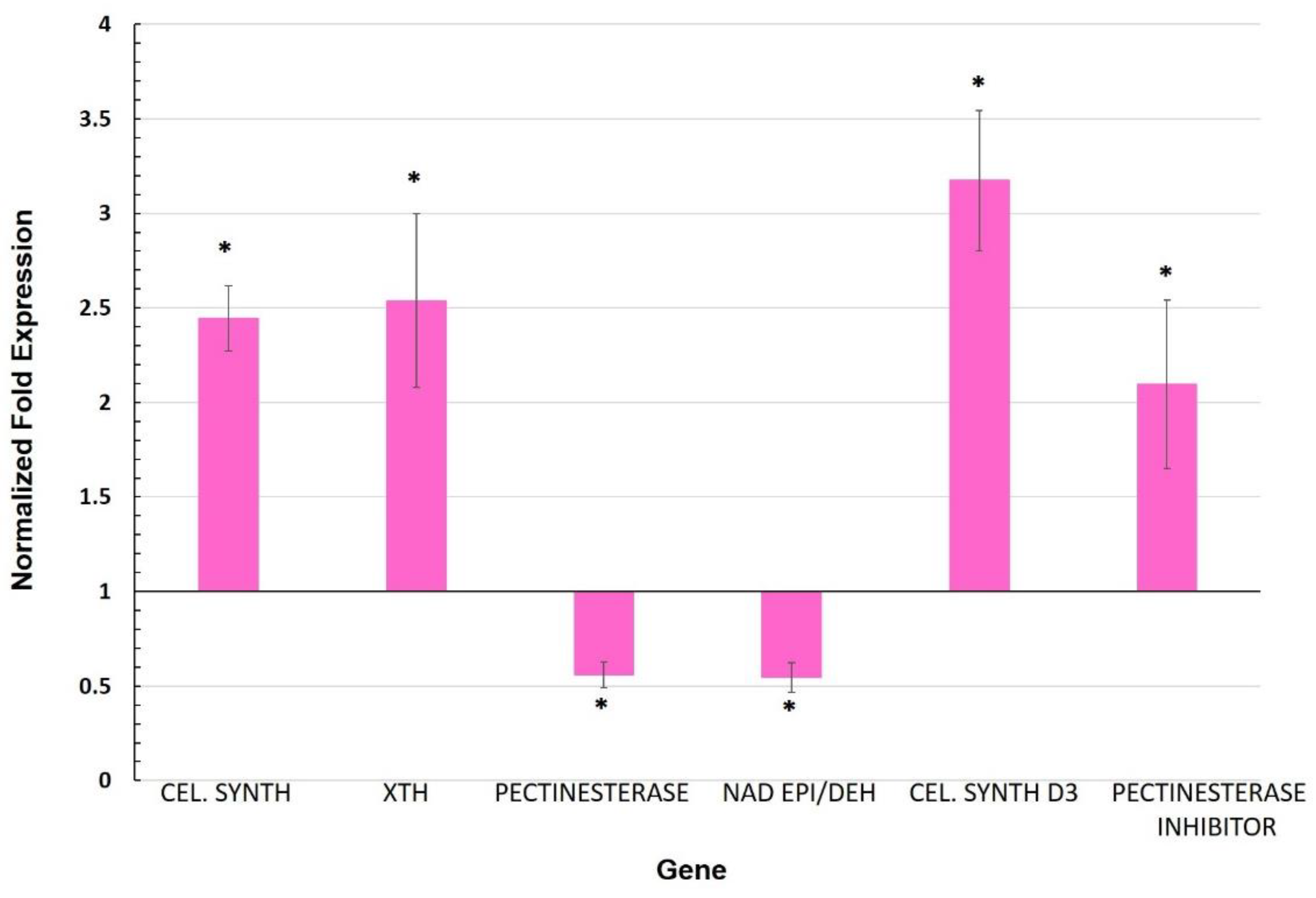 Biology 11 00854 g002
