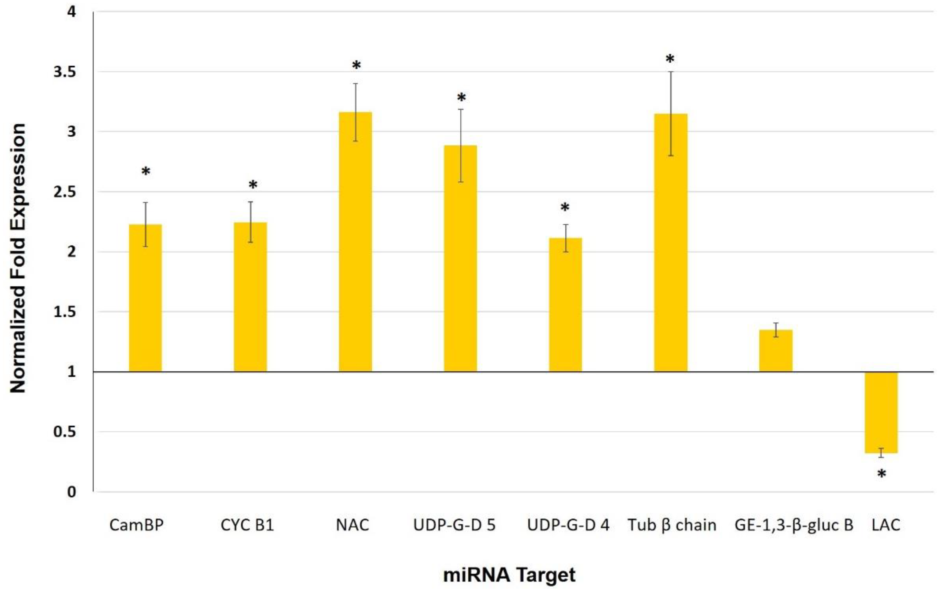 Biology 11 00854 g006