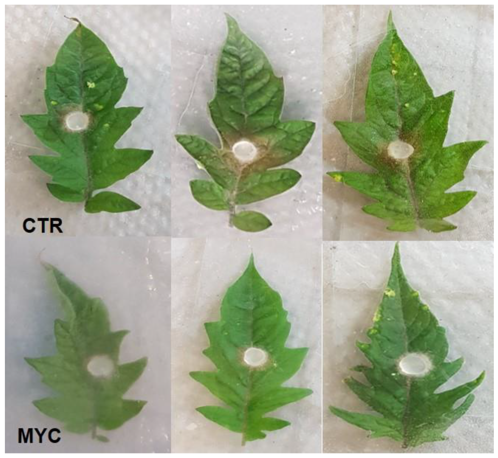 Biology 11 00854 g0a2
