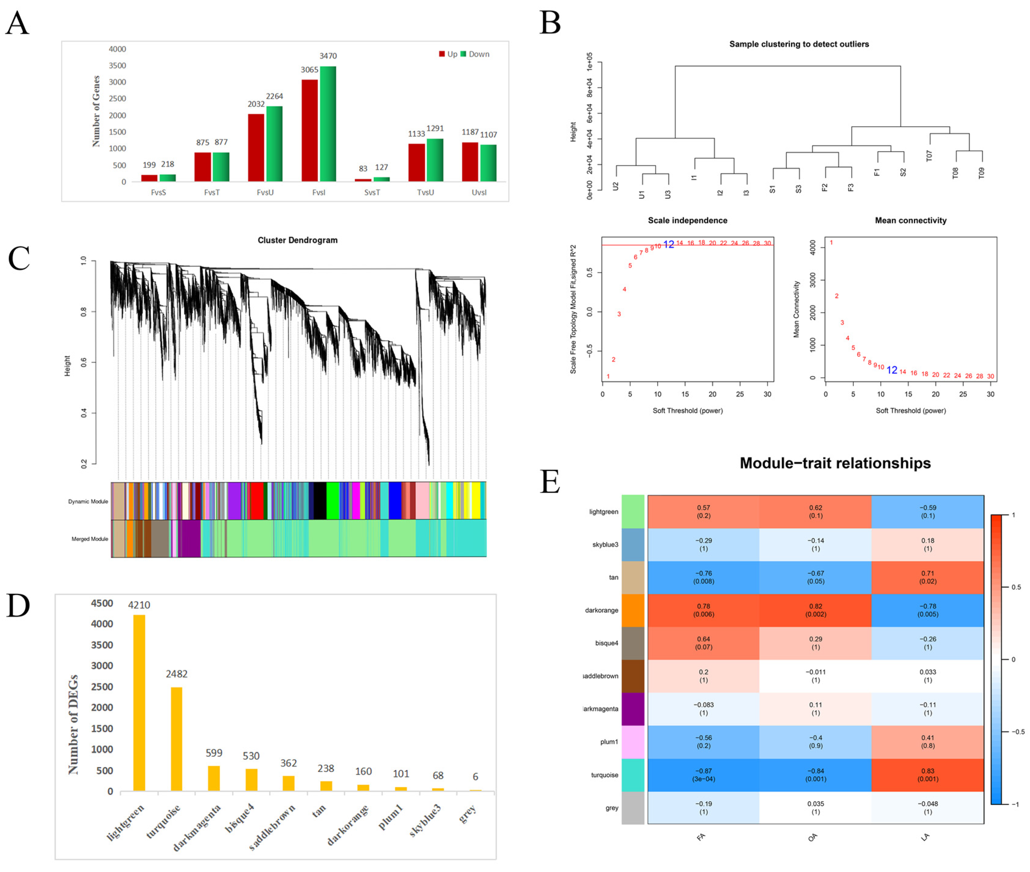 Biology 11 00855 g002