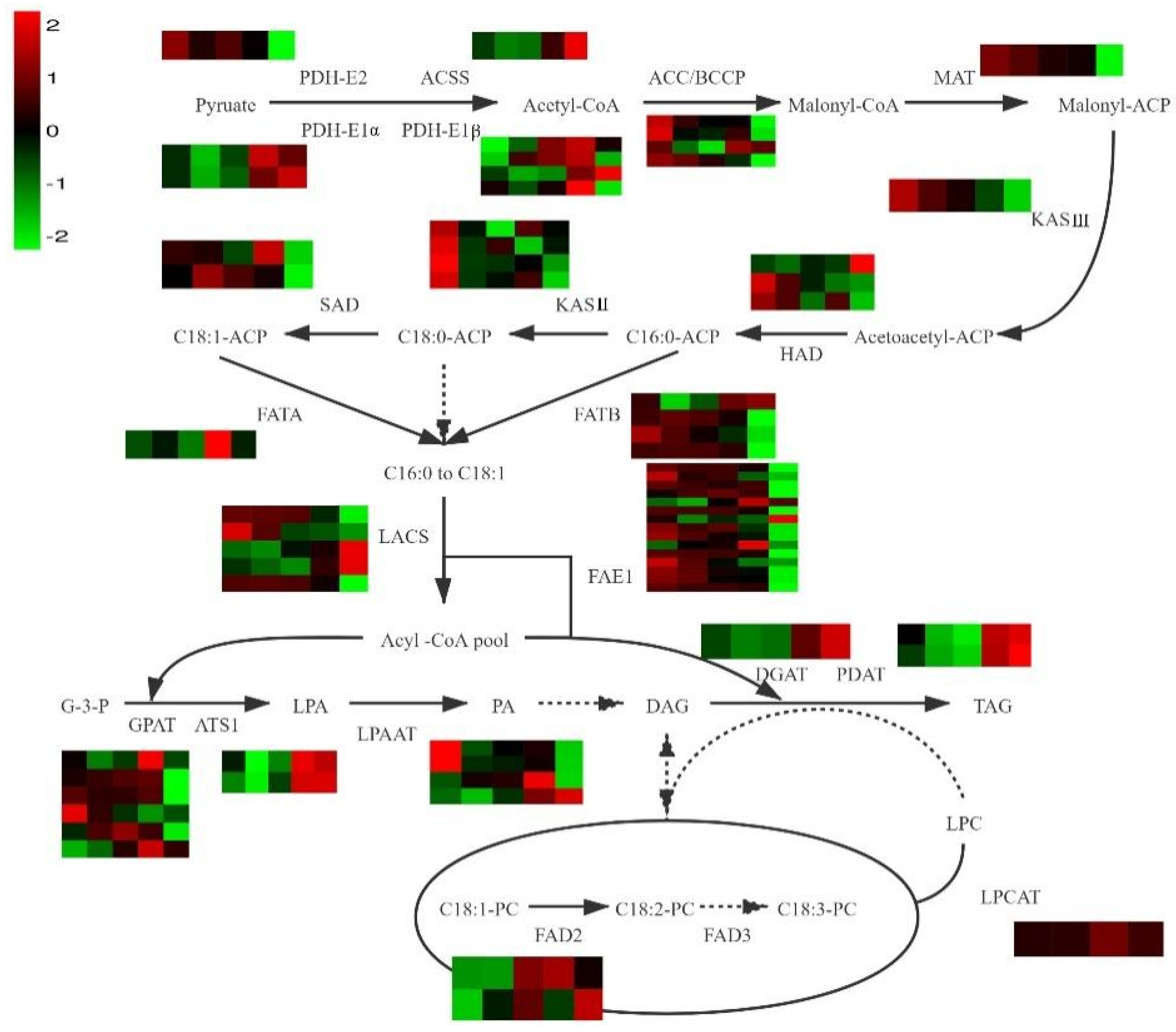 Biology 11 00855 g003