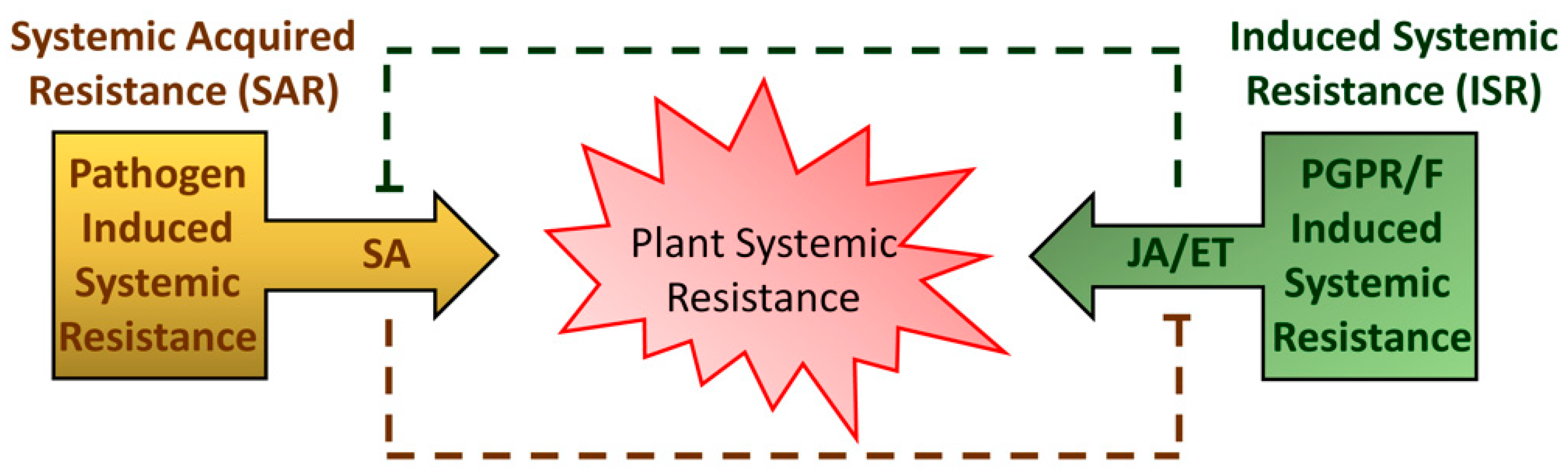 Biology 11 00861 g001