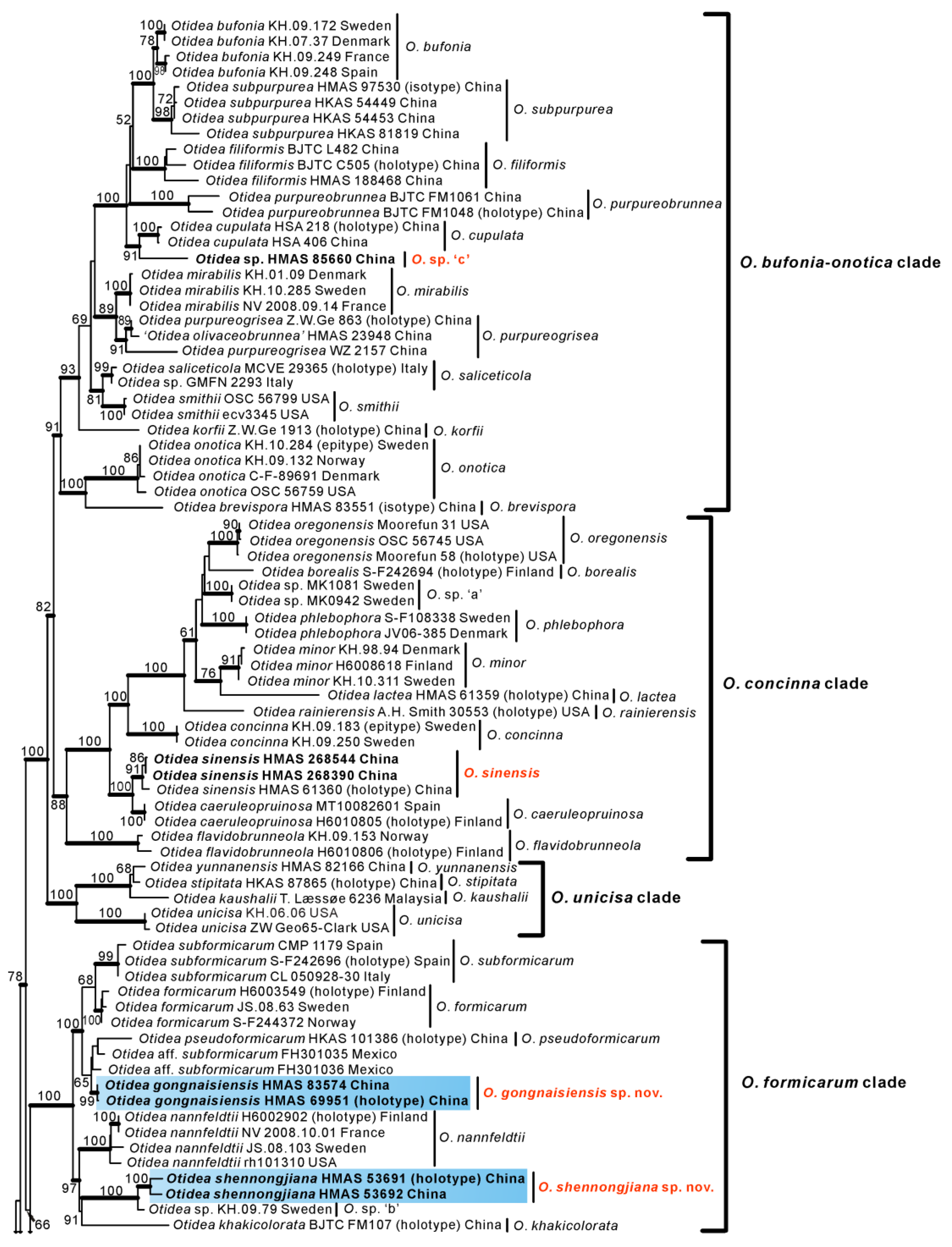 Biology 11 00866 g001a 550