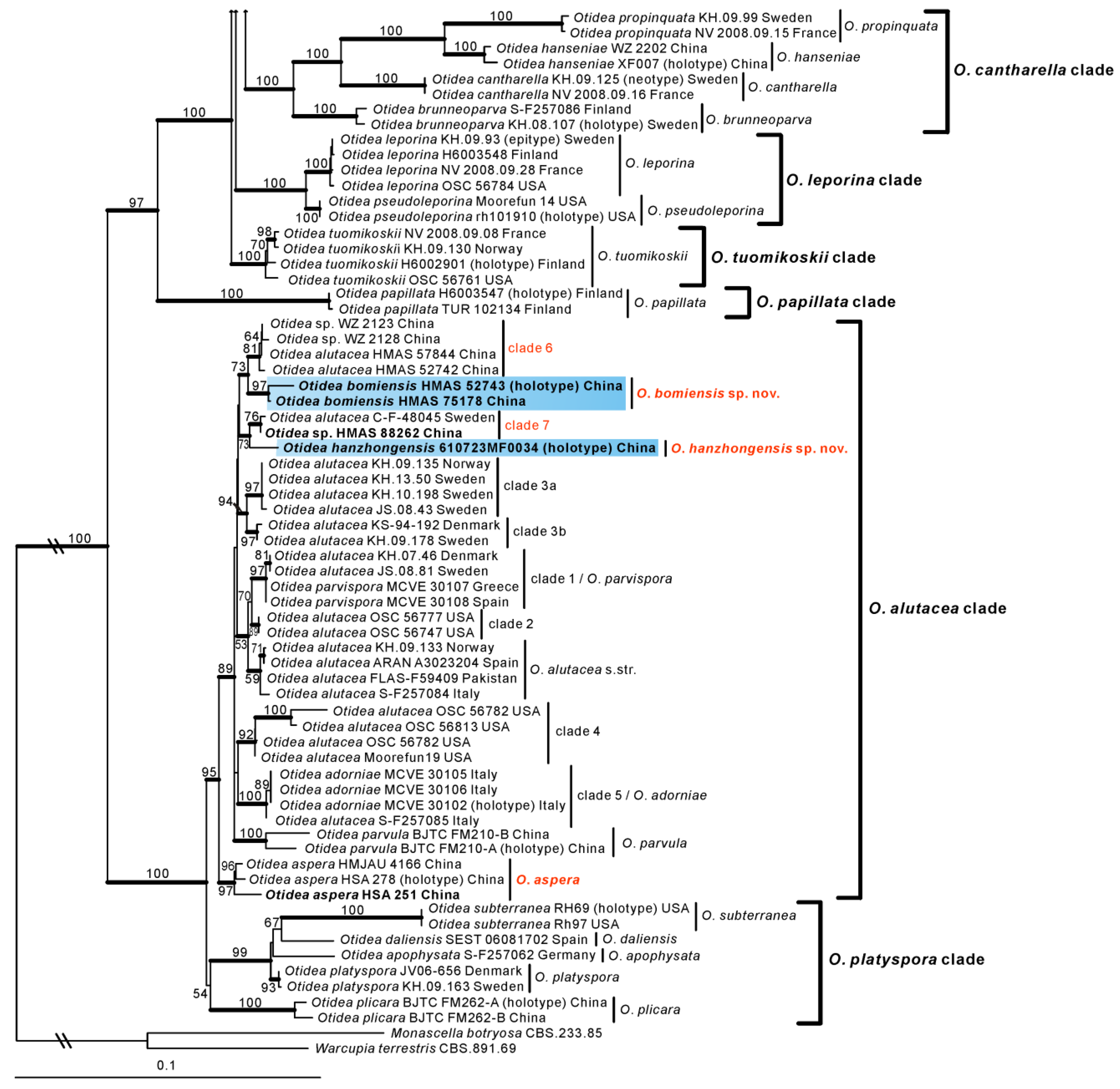 Biology 11 00866 g001b 550