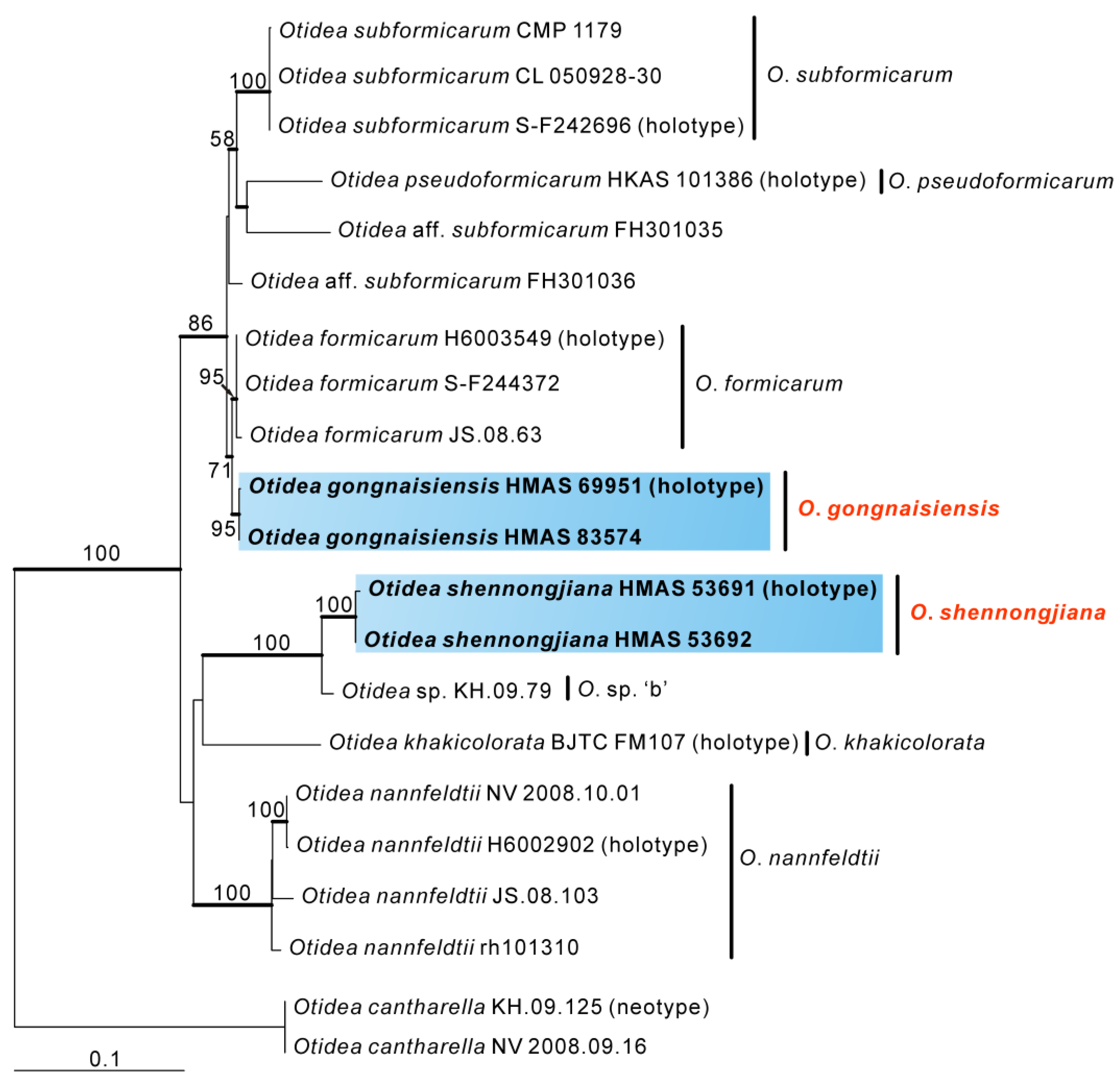 Biology 11 00866 g002 550