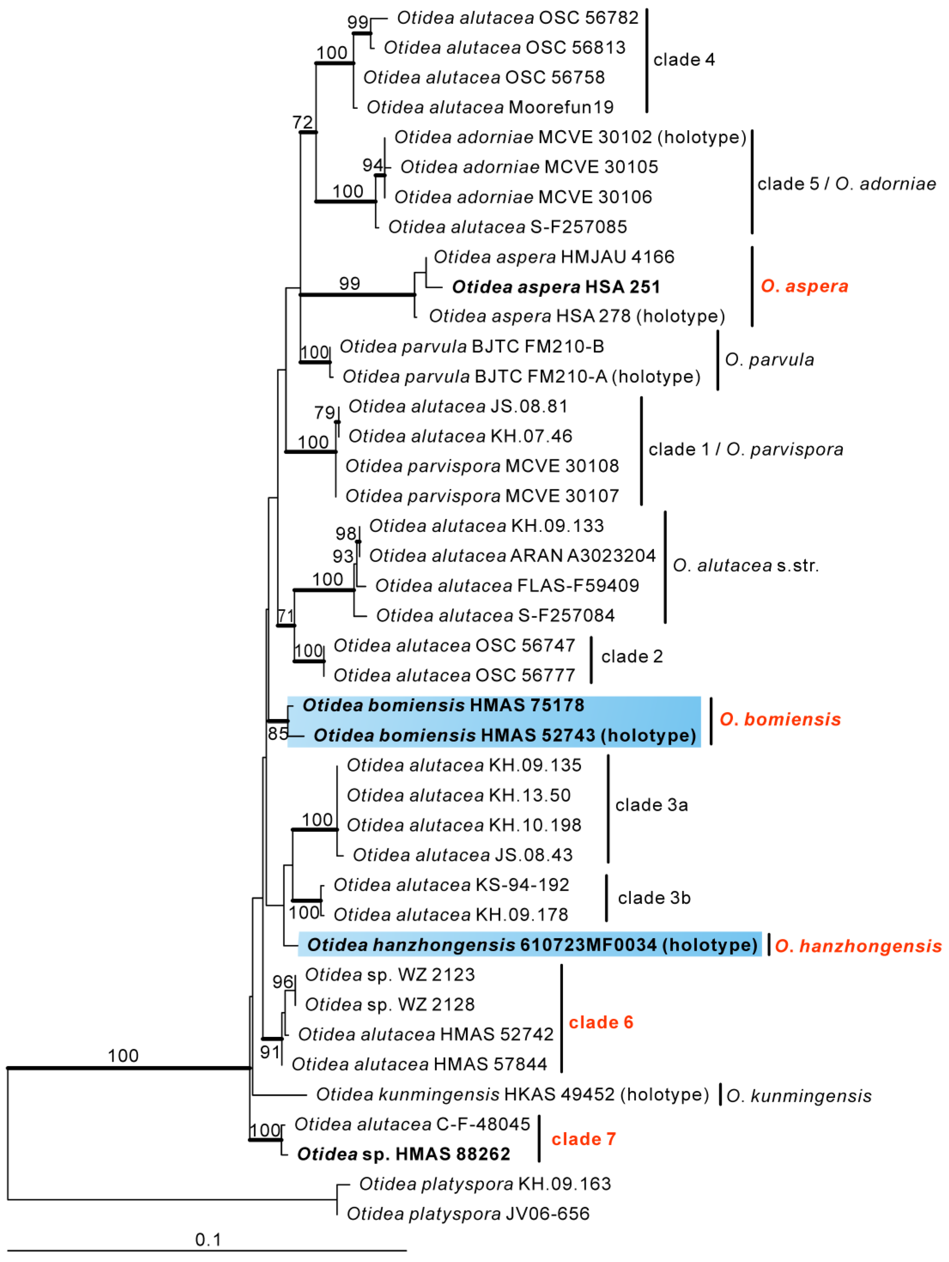 Biology 11 00866 g003 550