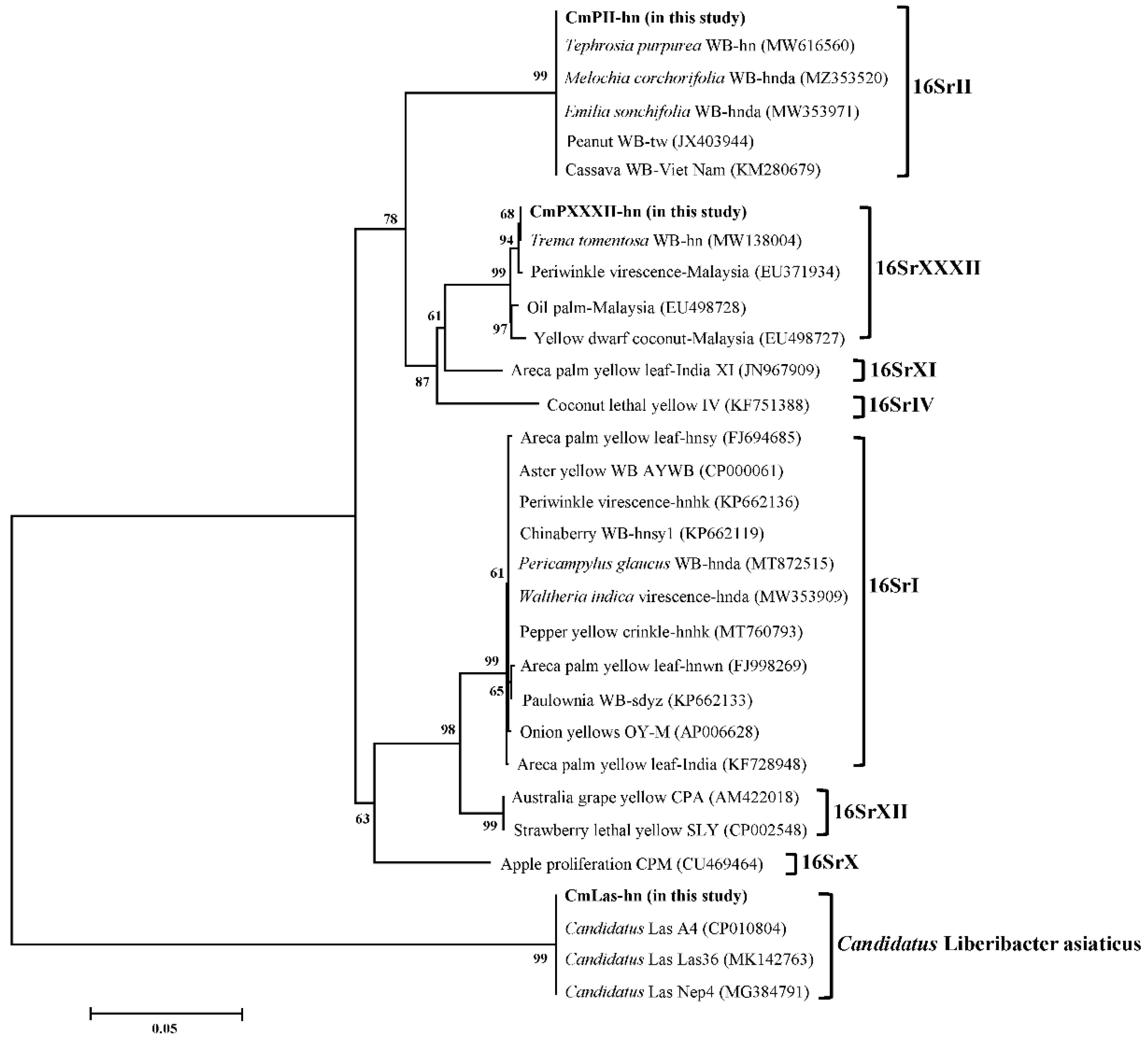 Biology 11 00869 g004