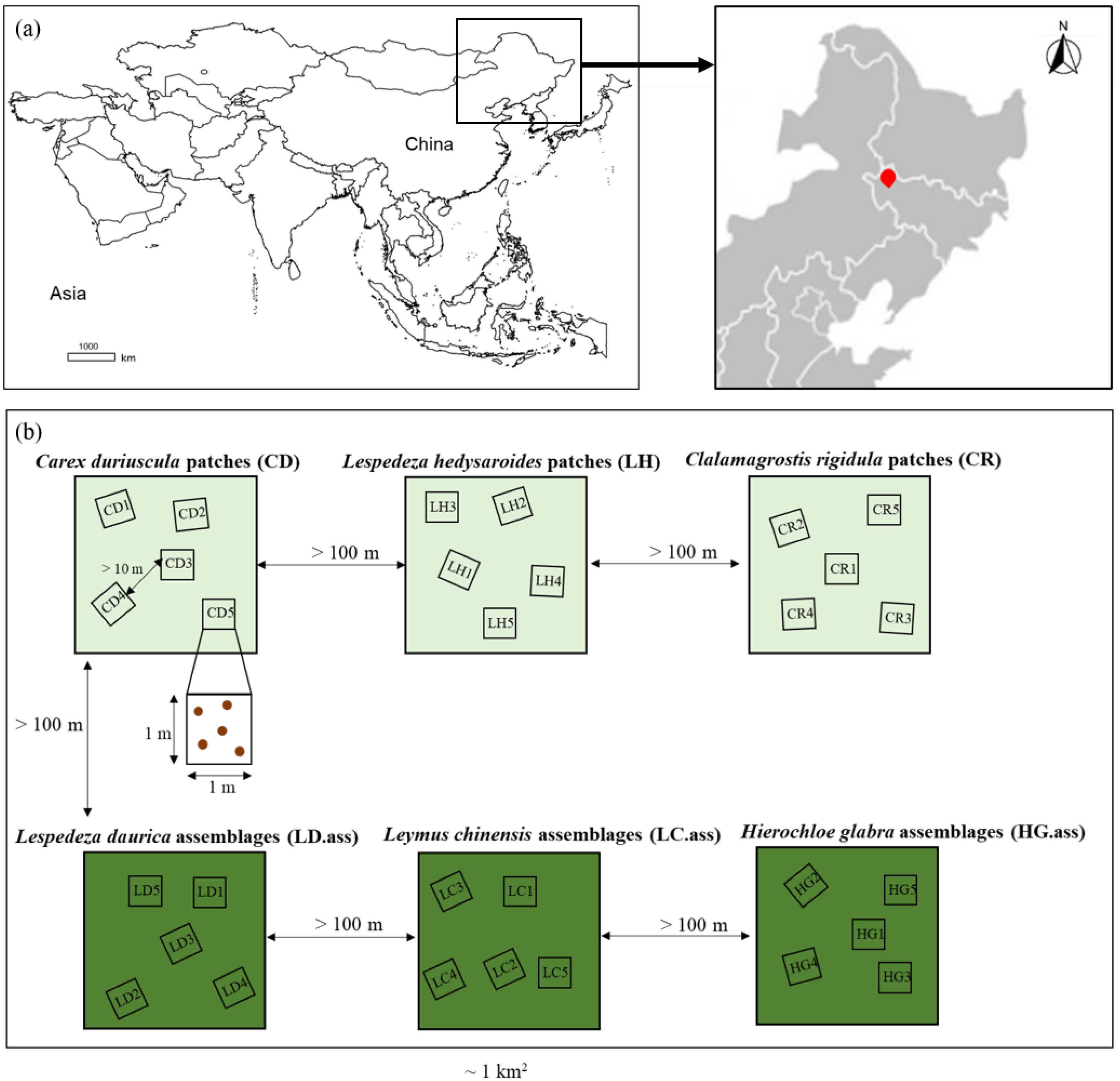 Biology 11 00870 g001 550