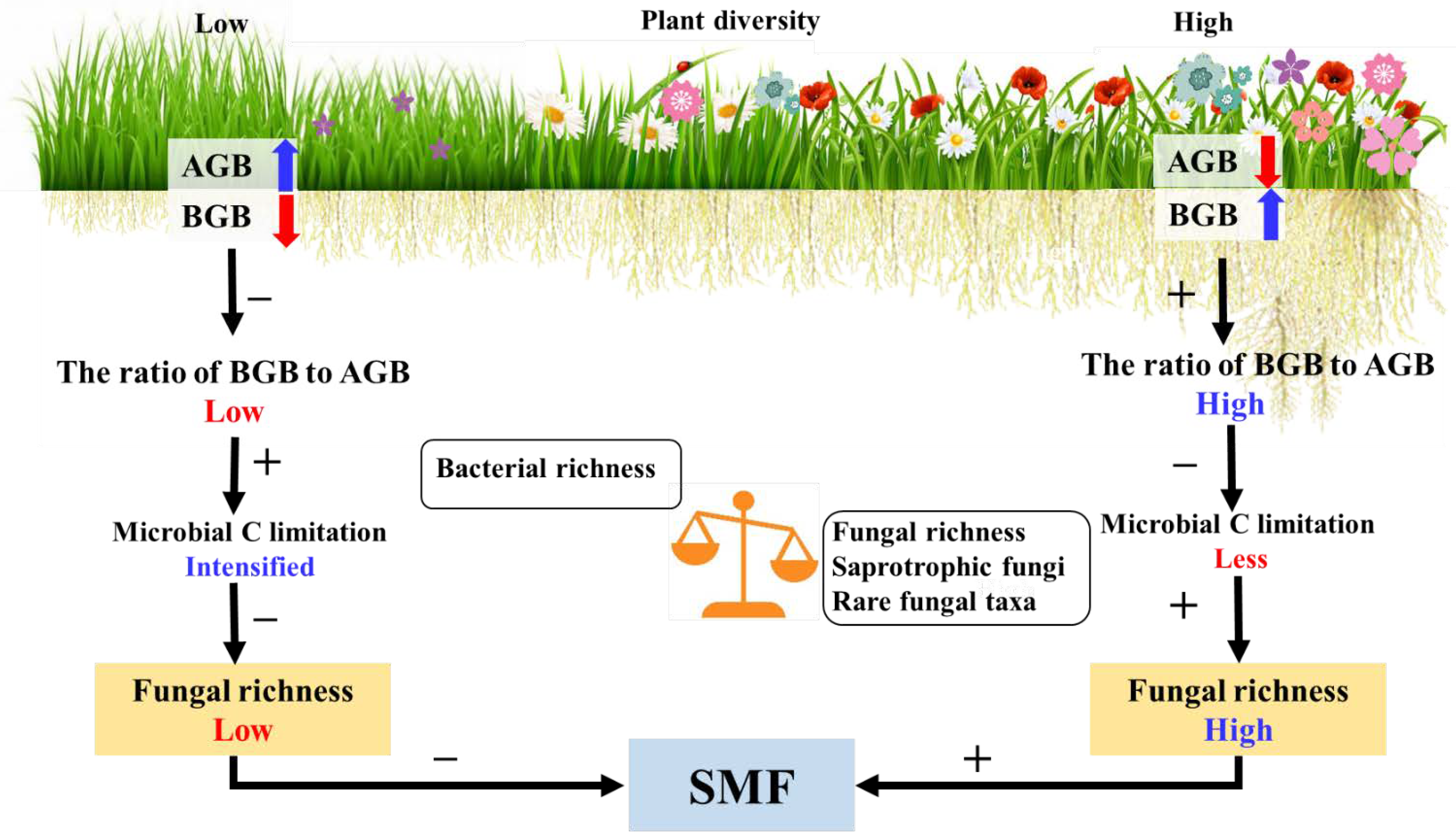 Biology 11 00870 g009 550