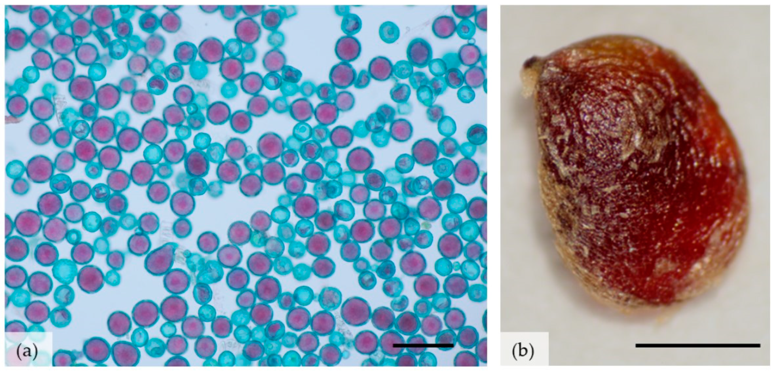 Biology 11 00873 g006 Biology 11 00873 g006