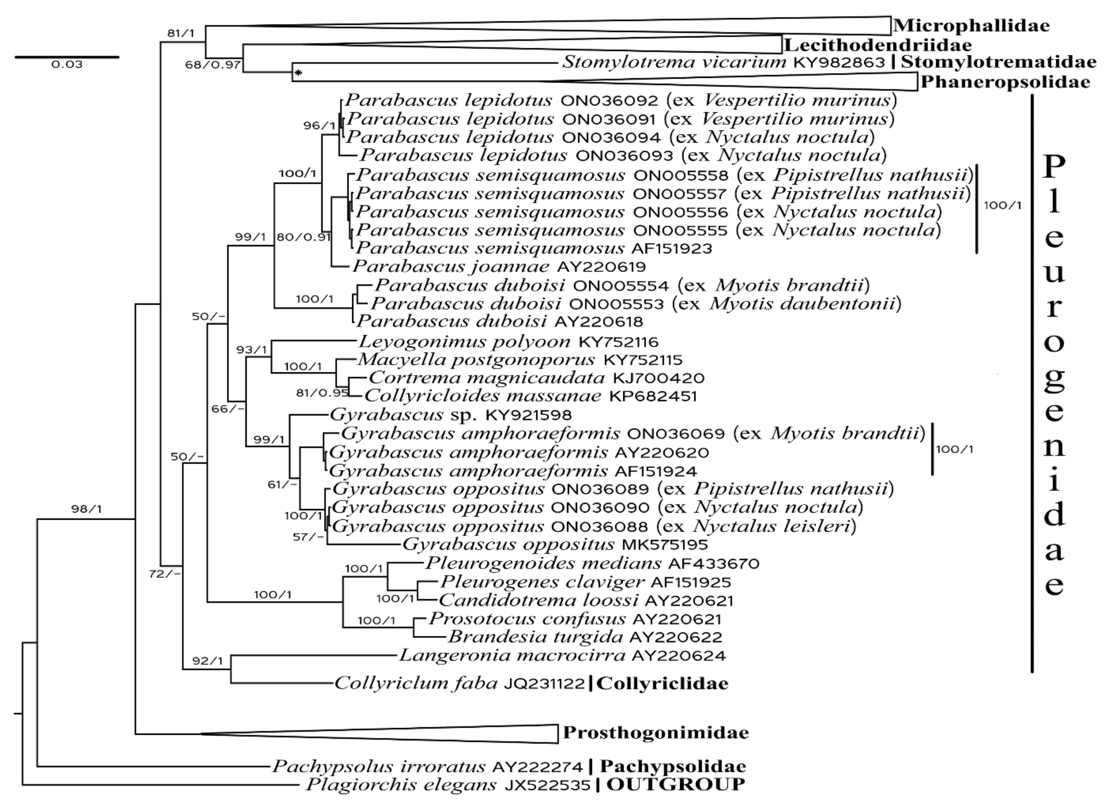 Biology 11 00878 g001 Biology 11 00878 g001