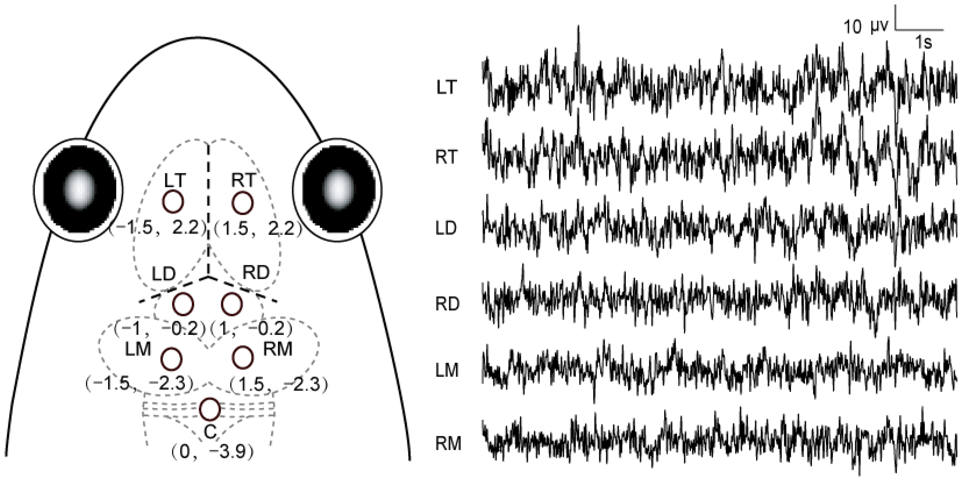 Biology 11 00879 g001
