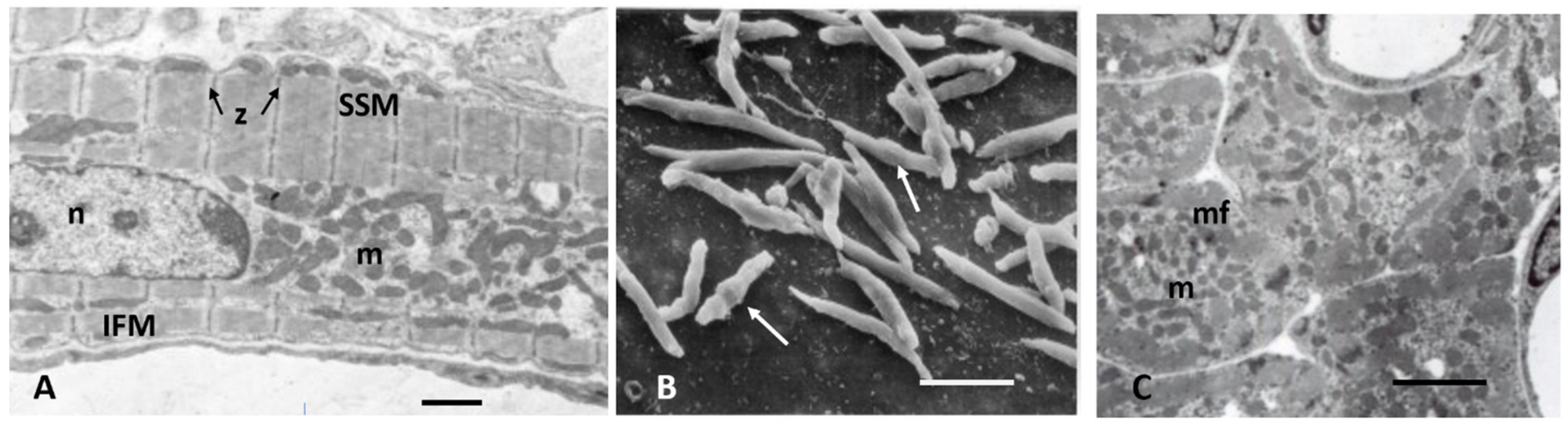 Biology 11 00880 g002