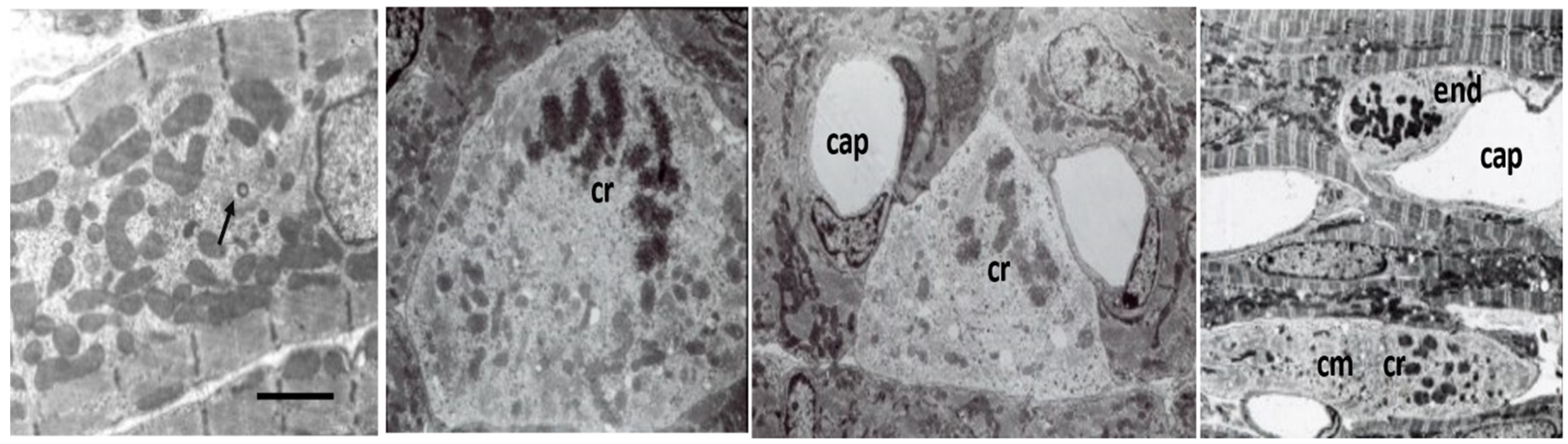 Biology 11 00880 g004