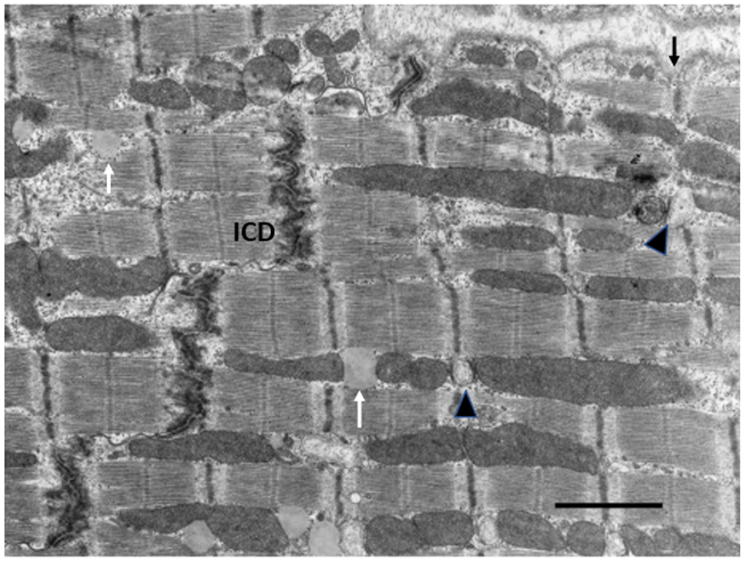 Biology 11 00880 g005