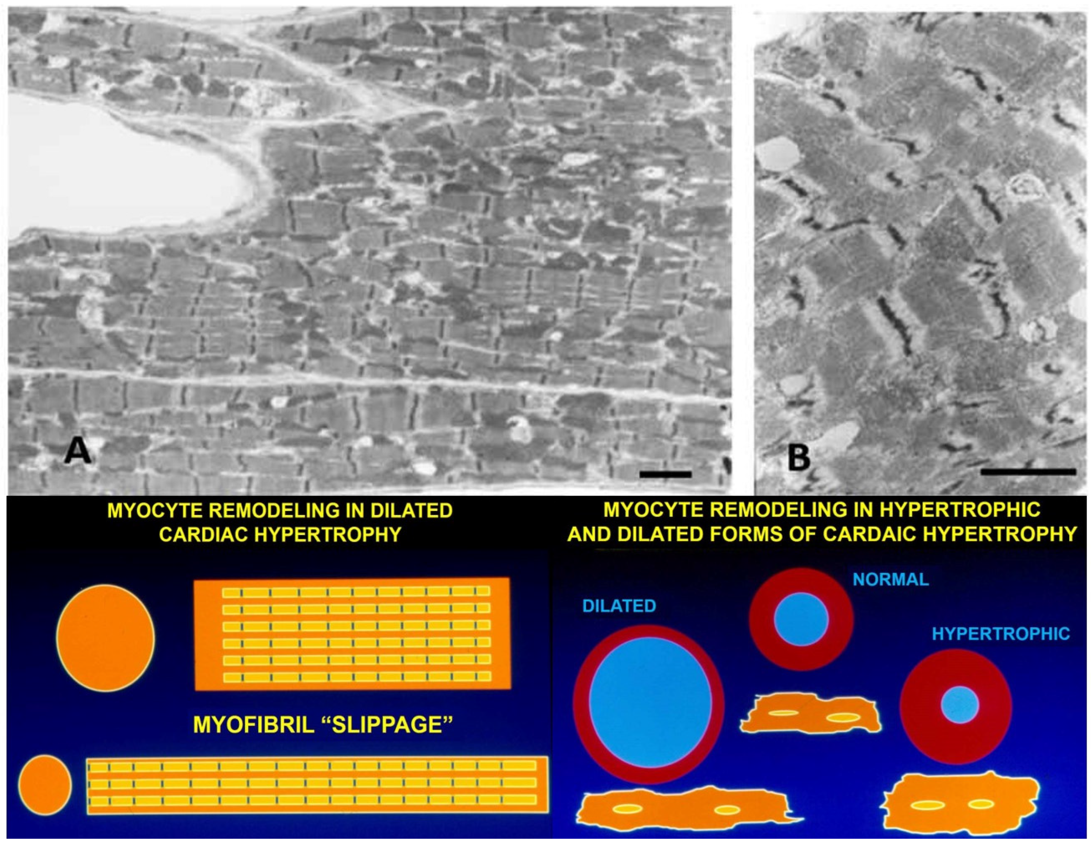 Biology 11 00880 g006