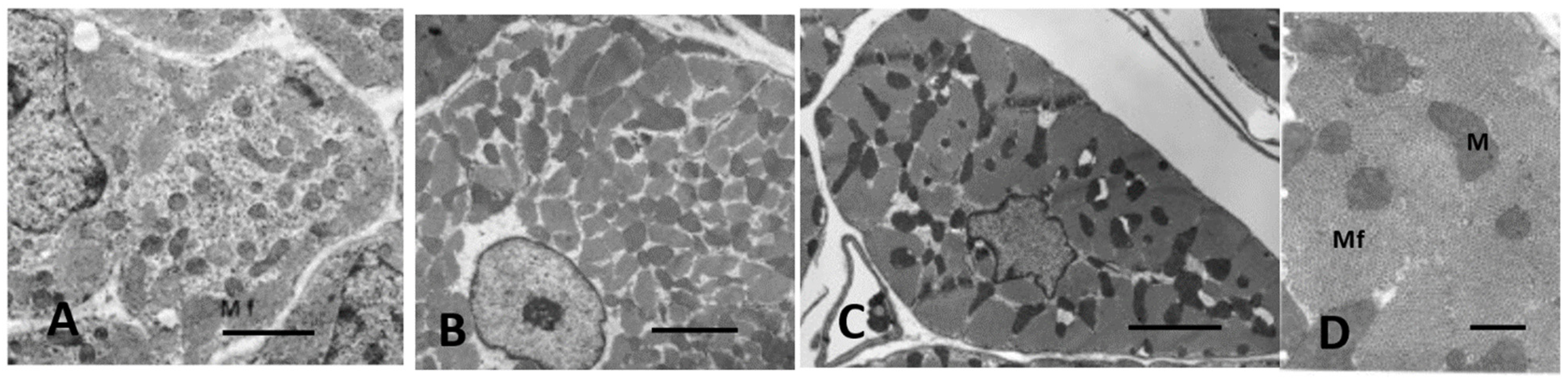 Biology 11 00880 g009