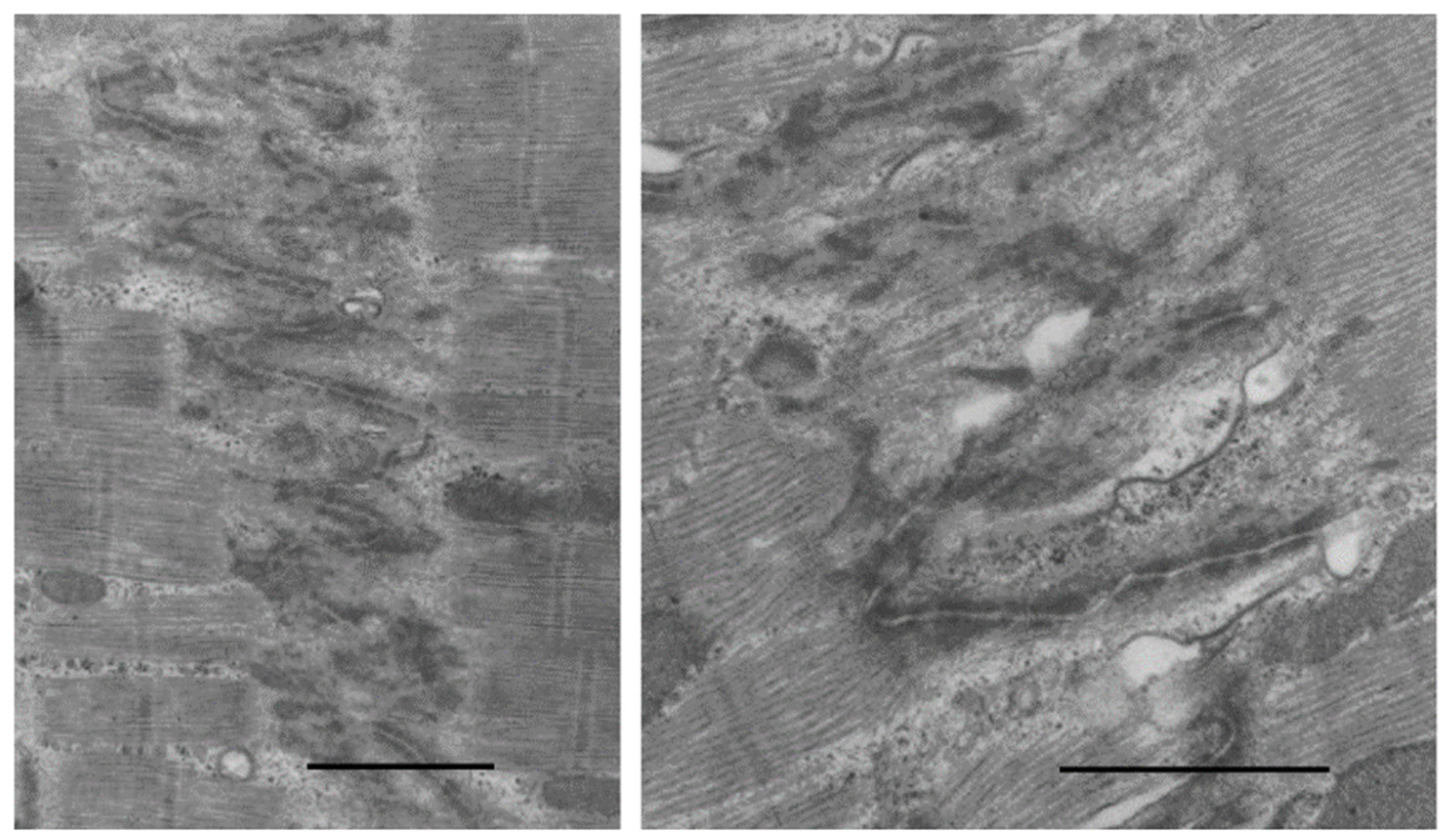 Biology 11 00880 g010
