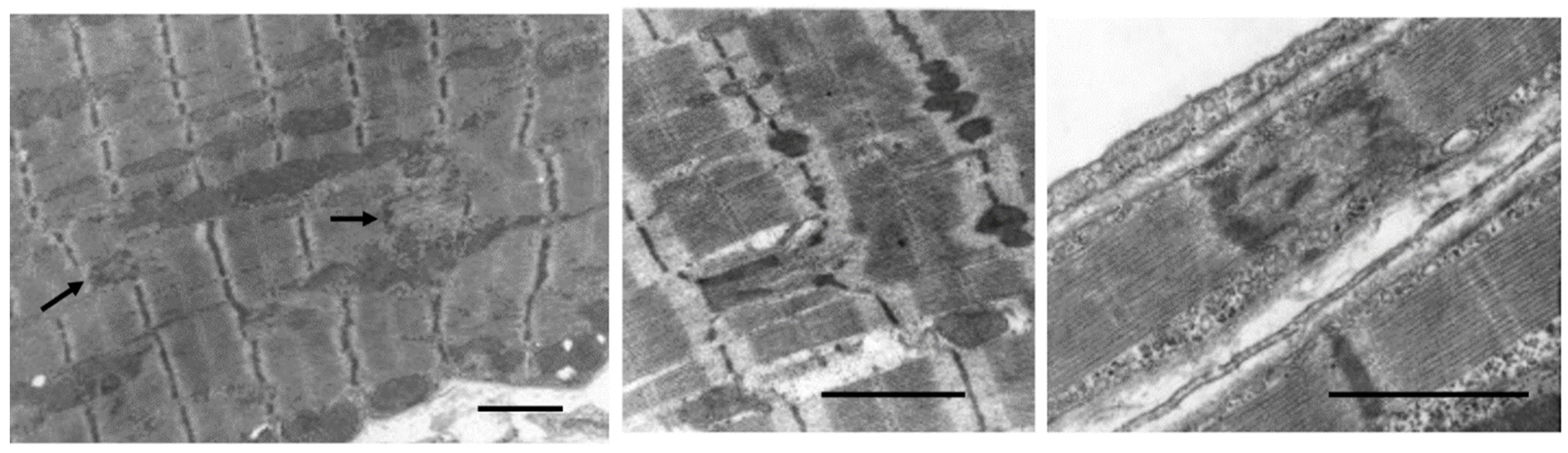 Biology 11 00880 g011